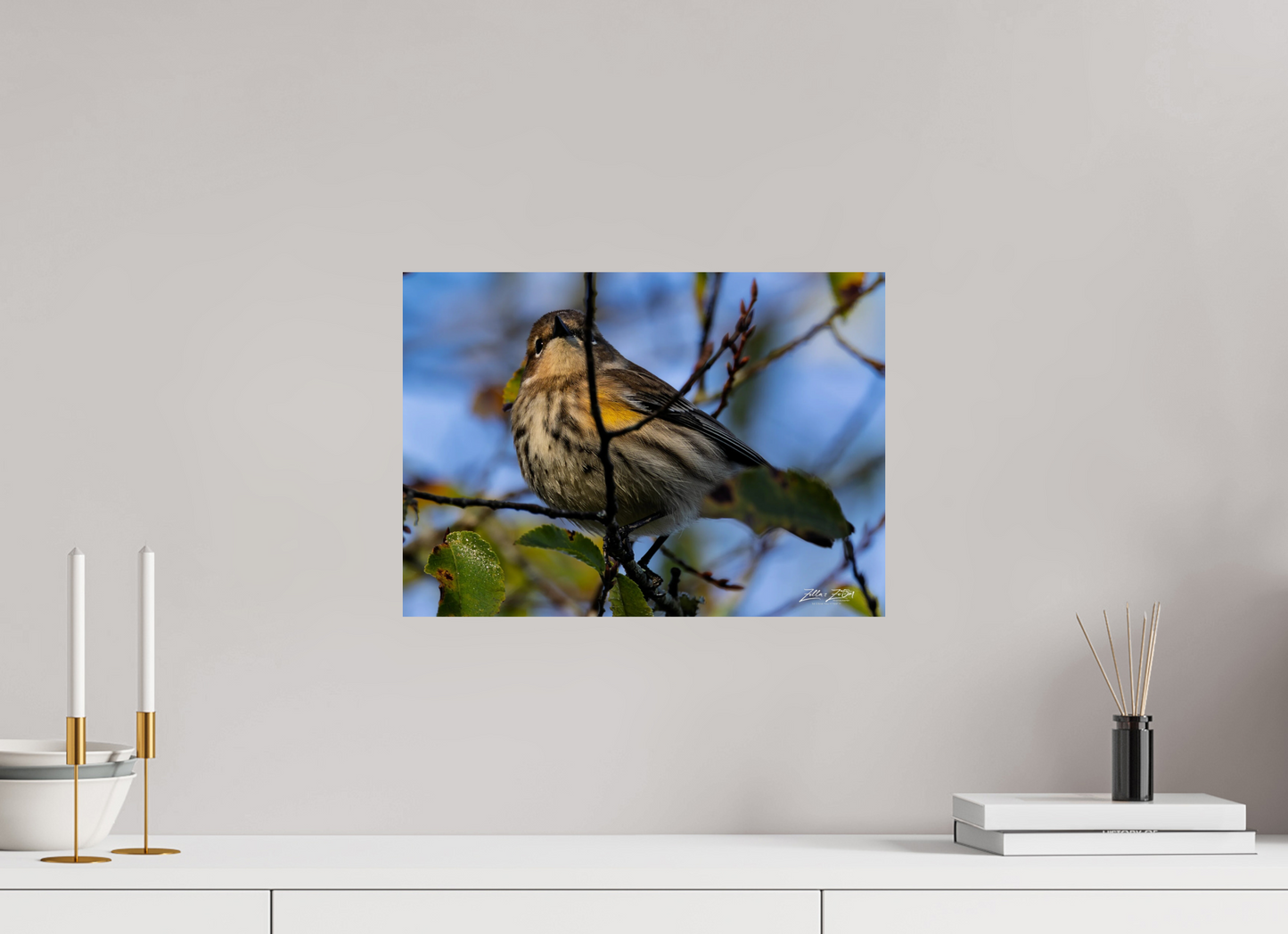 16.8 x 12″, Photo Print On Fuji Crystal DP II Zillas Zoom Image 356