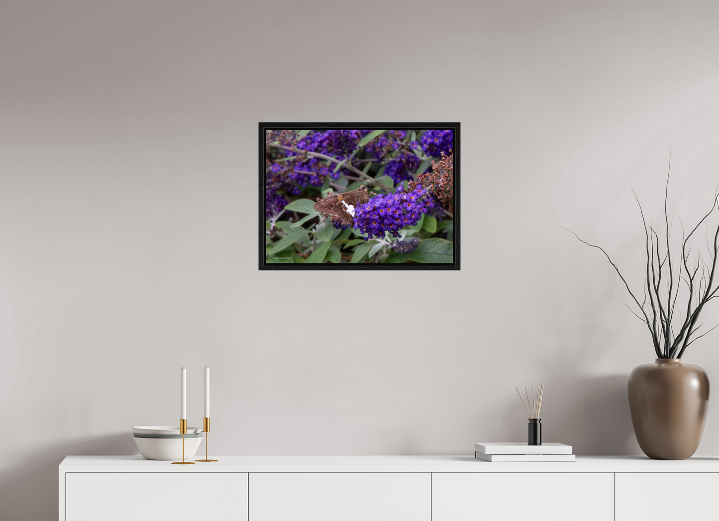 22.4 x 16″, Floater Frame Zillas Zoom Image 60