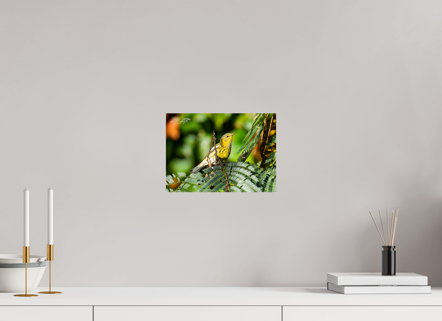 11.2 x 8″, Photo Print On Fuji Crystal DP II Zillas Zoom Image 290