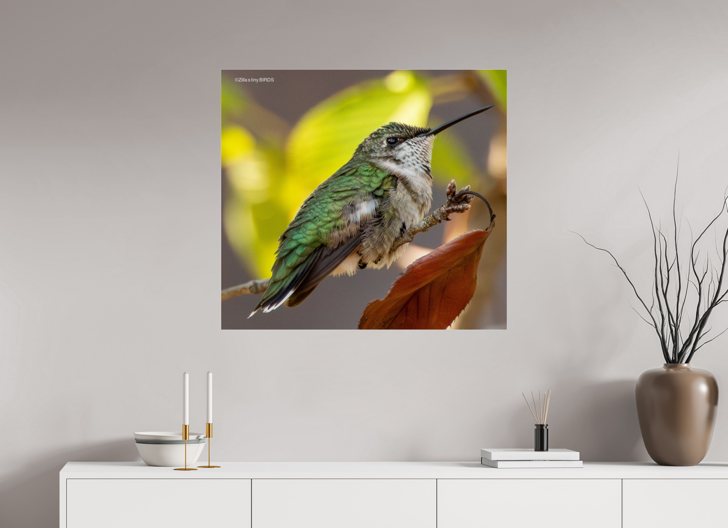 34.1 x 31″, Photo Print Under Acrylic Glass Zillas Zoom Image 347