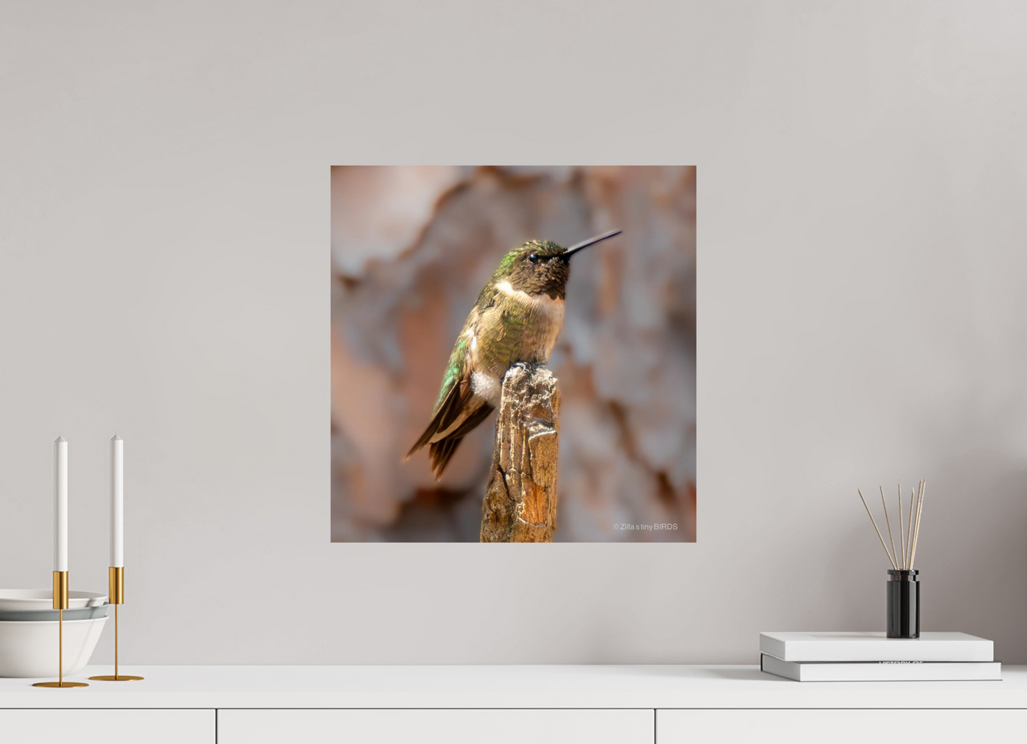 16 x 16.5″, Photo Print On Fuji Crystal DP II Zillas Zoom Image 450