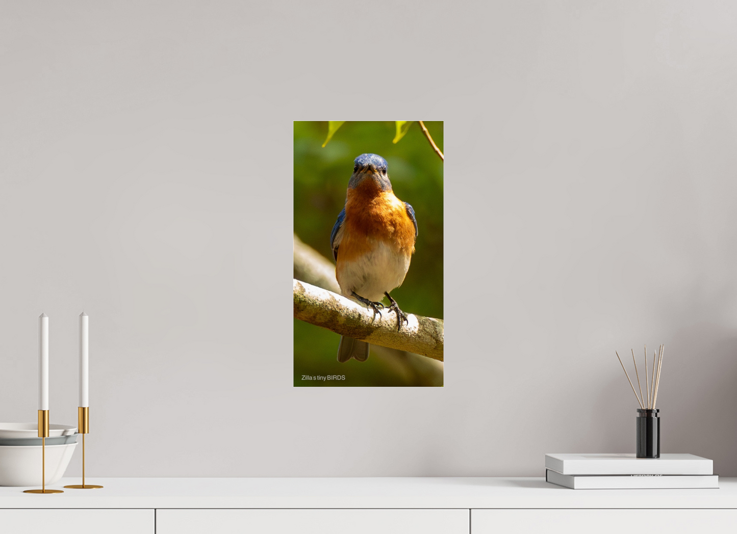 9 x 16″, Photo Print Under Acrylic Glass Zillas Zoom Image 481