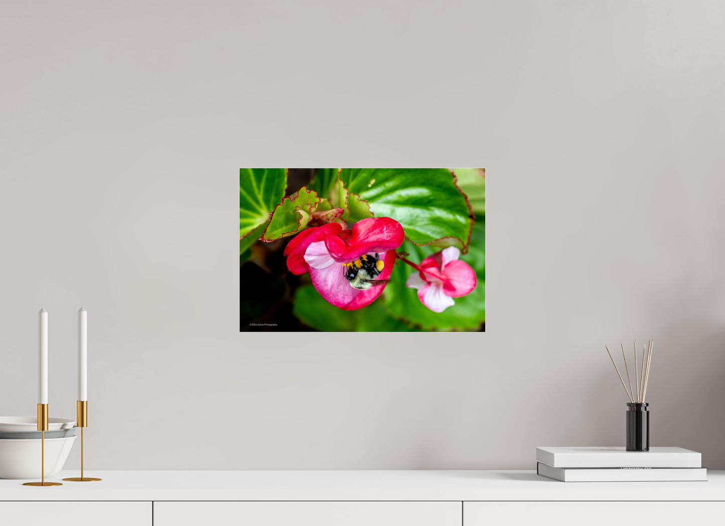 15 x 10″, Photo Print Under Acrylic Glass Zillas Zoom Image 96