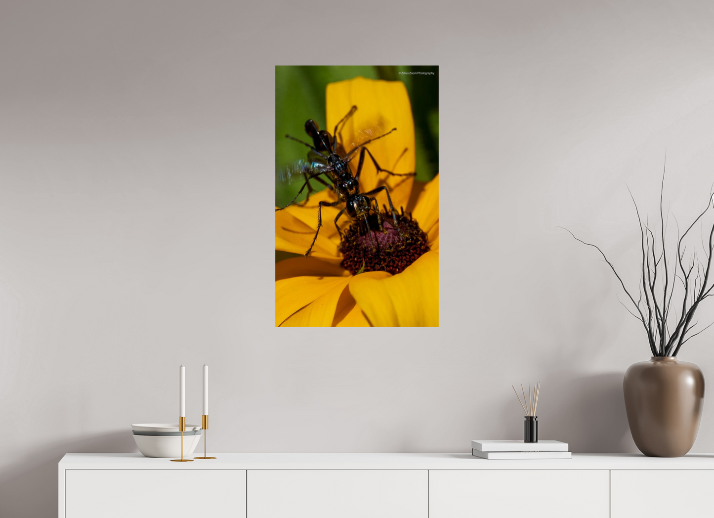 20 x 32″, Photo Print On Fuji Crystal DP II Zillas Zoom Image 108