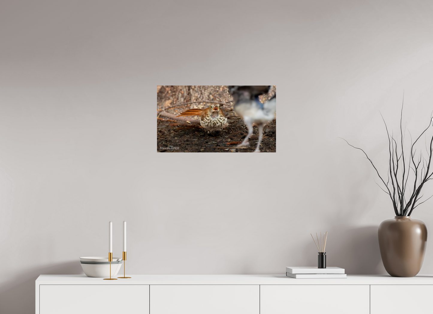 24 x 13.5″, Photo Print On Fuji Crystal DP II Zillas Zoom Image 383