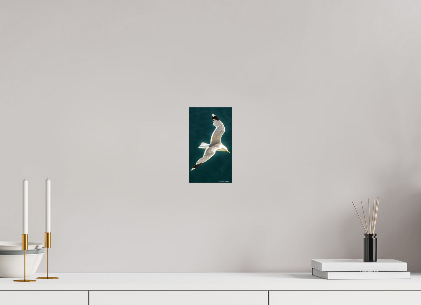 4.5 x 8″, Photo Print Under Acrylic Glass Zillas Zoom Image 467