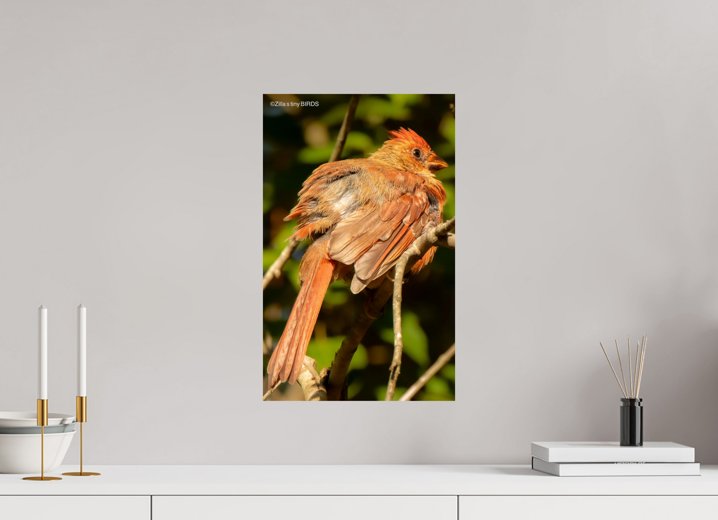 12 x 19.2″, Photo Print On Fuji Crystal DP II Zillas Zoom Image 403