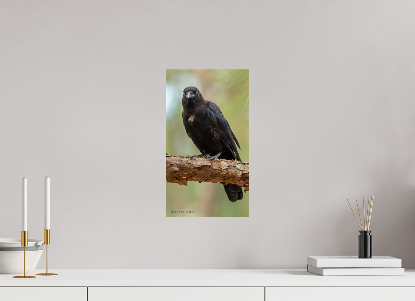 9 x 16″, Photo Print On Fuji Crystal DP II Zillas Zoom Image 478