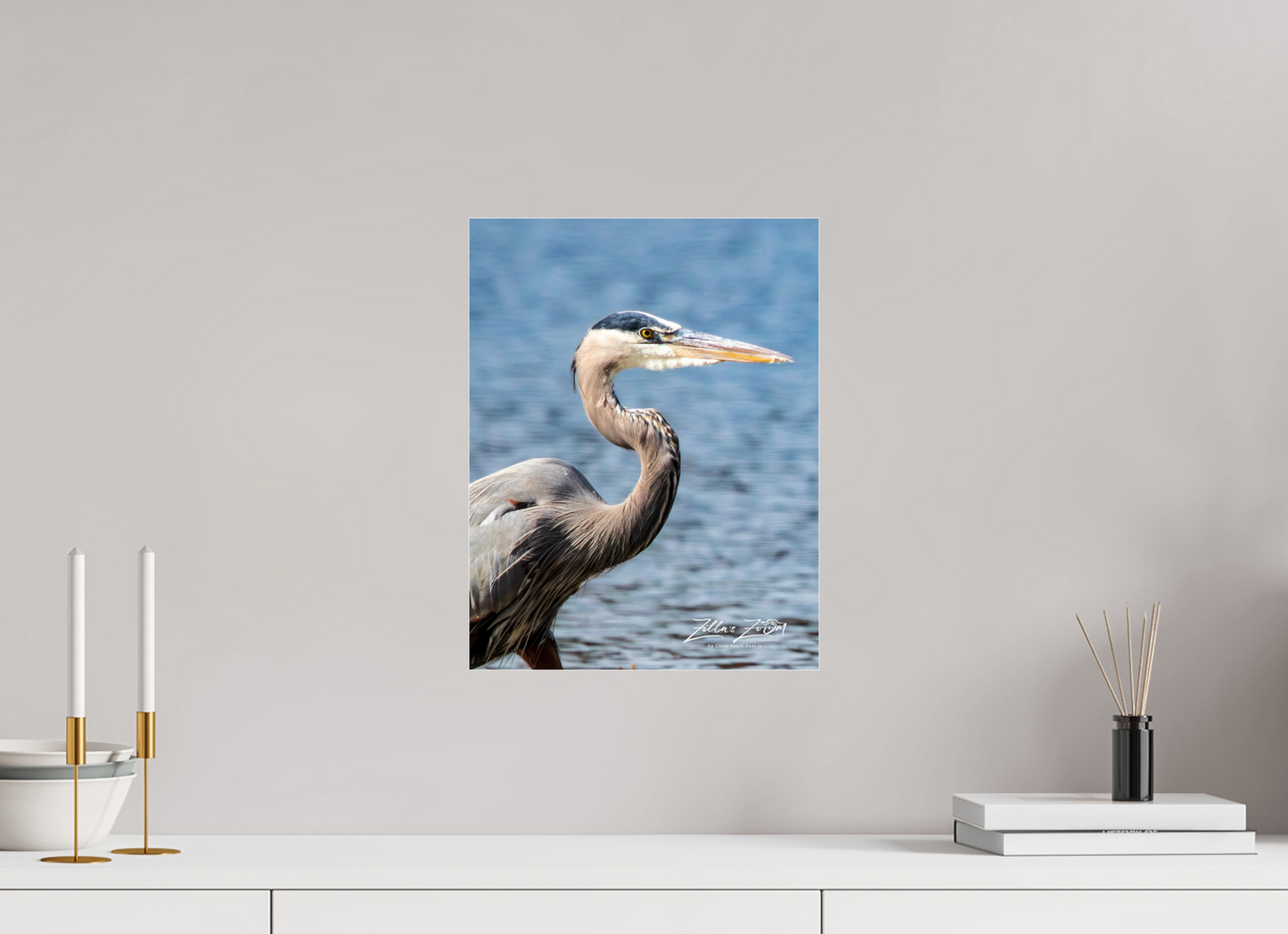 12 x 15.5″, Photo Print Under Acrylic Glass Zillas Zoom Image 420