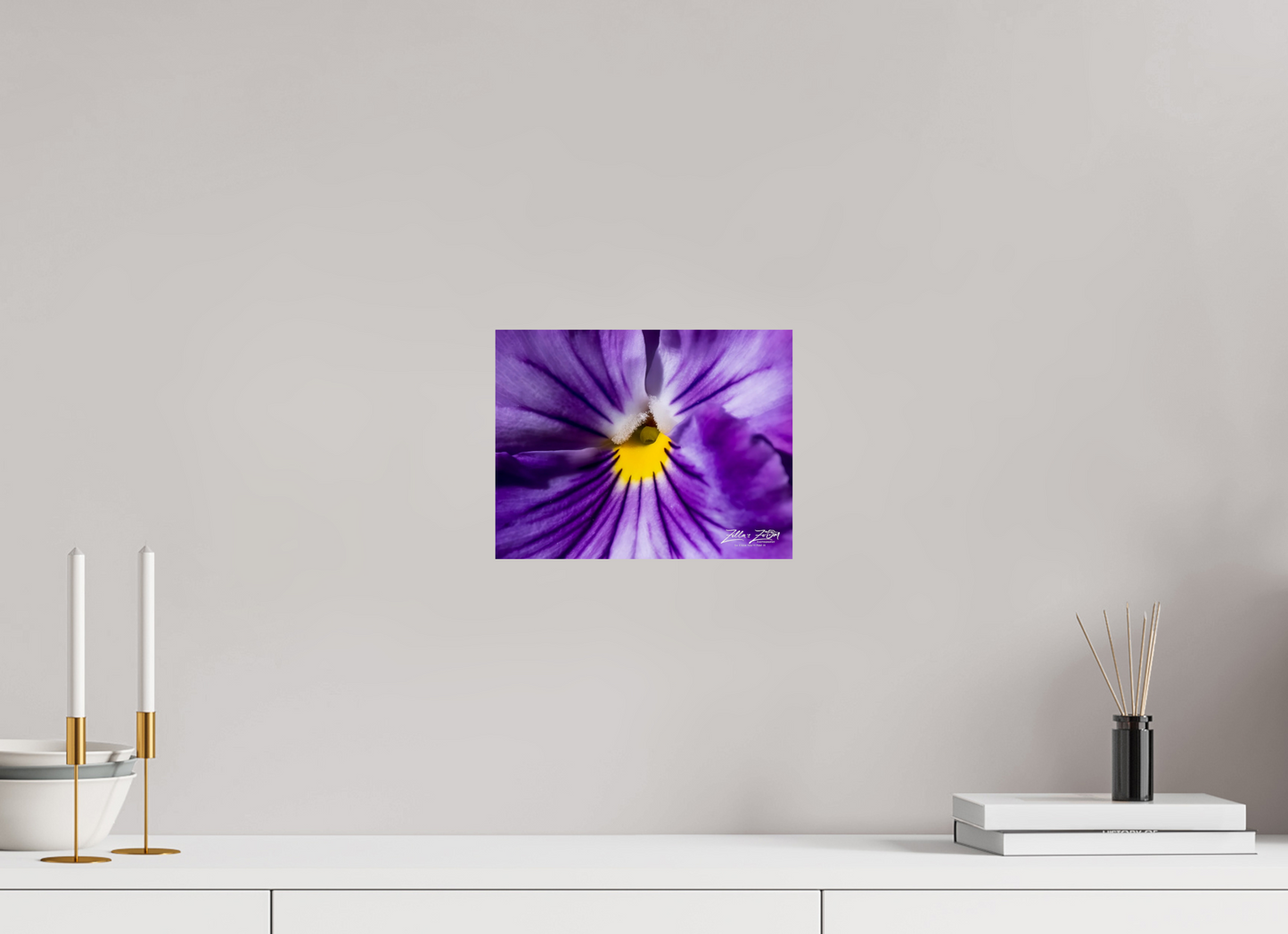 10.4 x 8″, Photo Print On Fuji Crystal DP II Zillas Zoom Image 105
