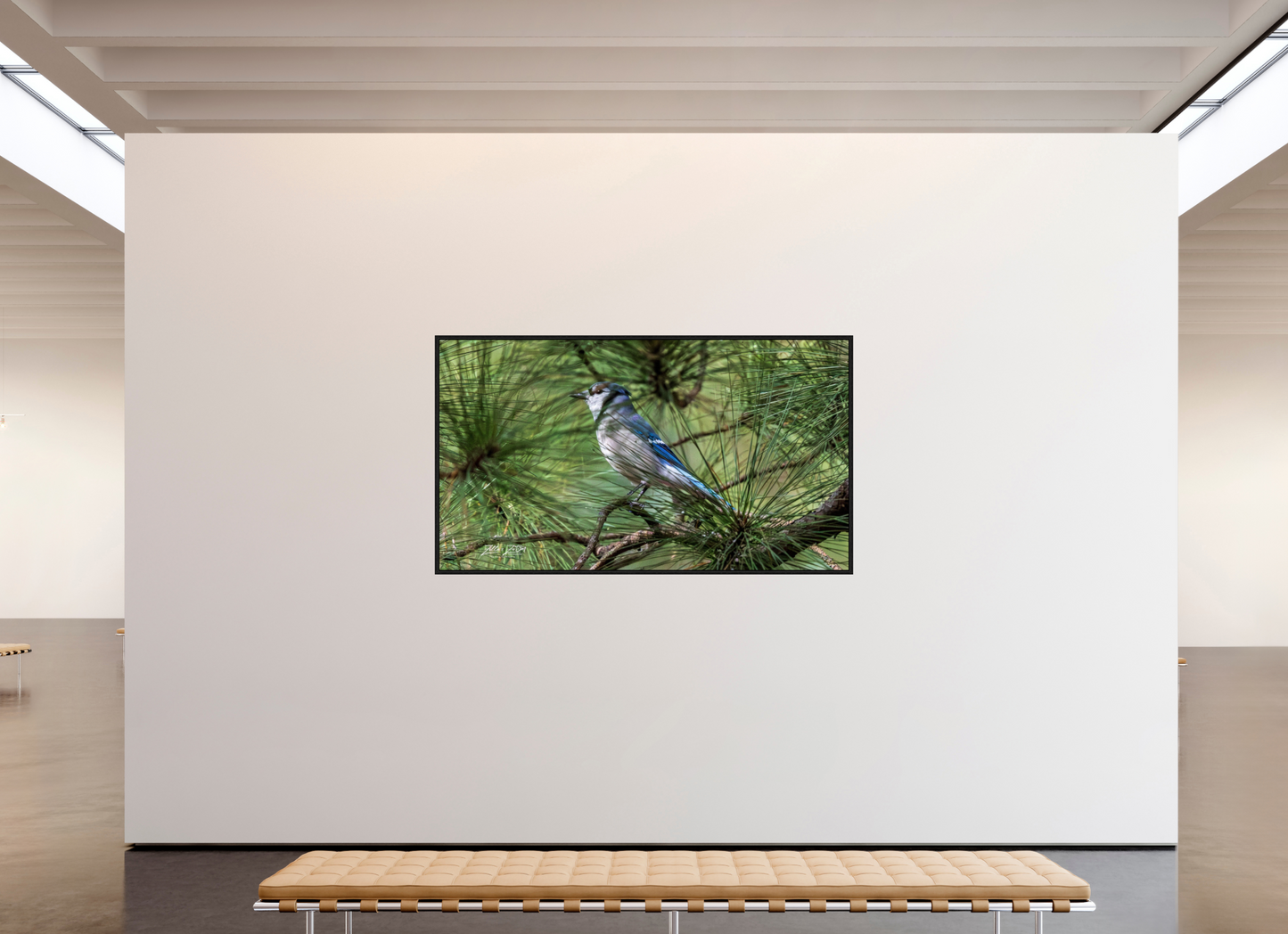 80 x 45″, Floater Frame Zillas Zoom Image 344