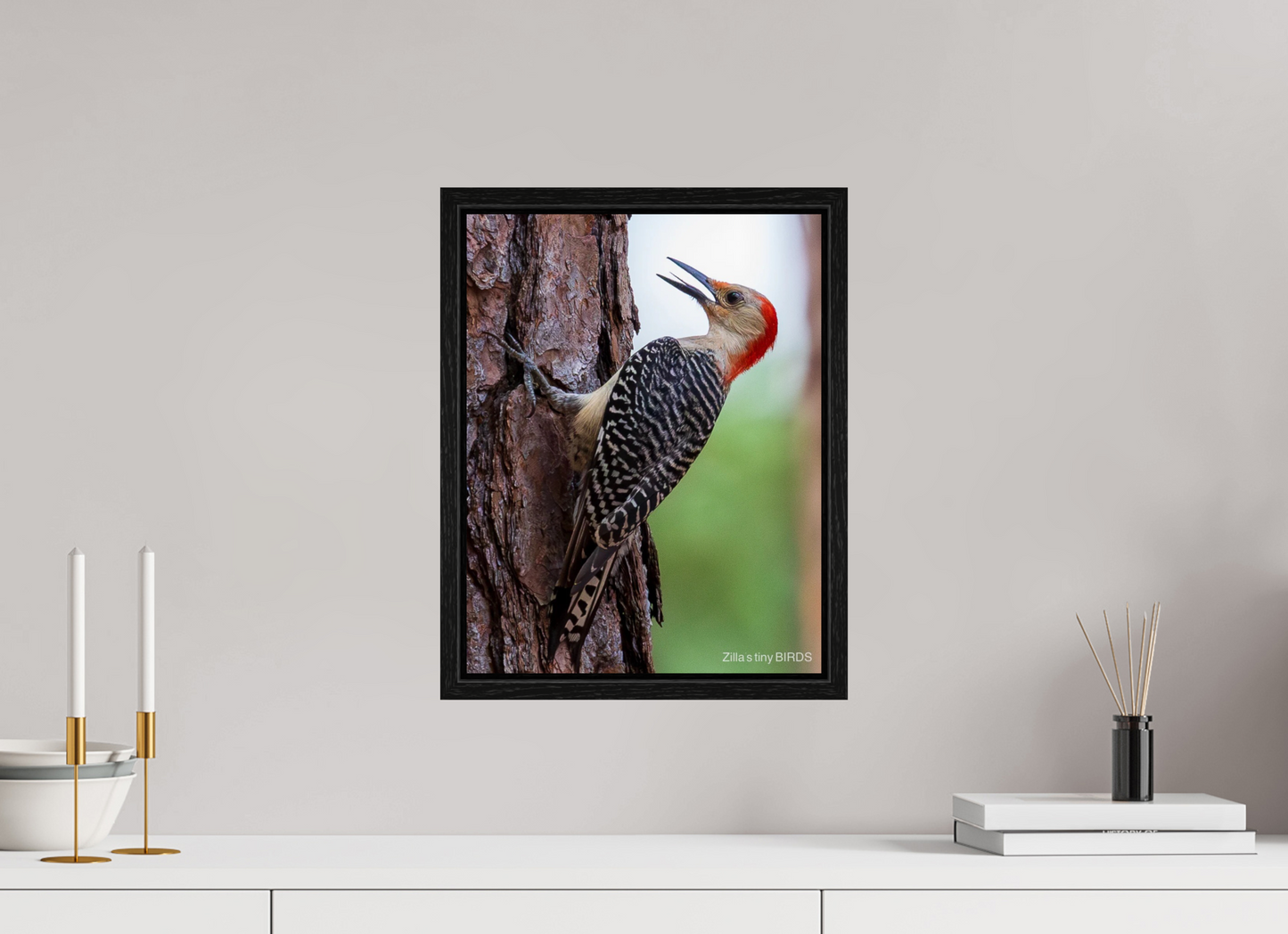 12 x 15.6″, Floater Frame Zillas Zoom Image 475