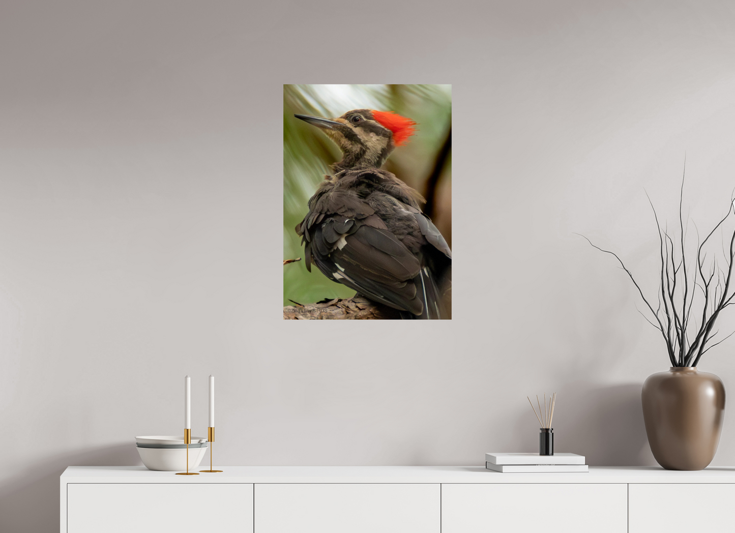 20 x 28″, Photo Print On Fuji Crystal DP II Zillas Zoom Image 443