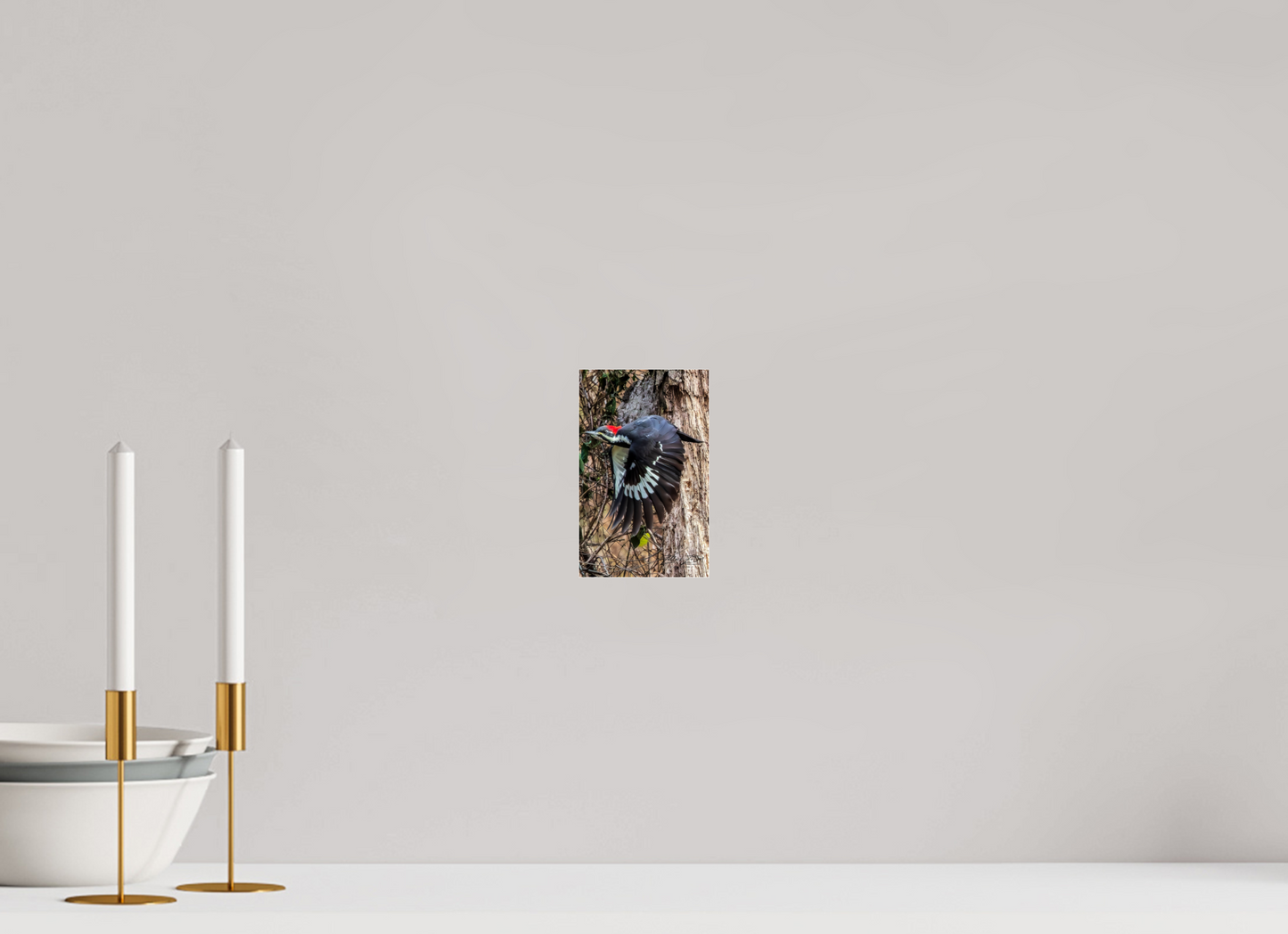 4 x 6.4″, Photo Print Under Acrylic Glass Zillas Zoom Image 419