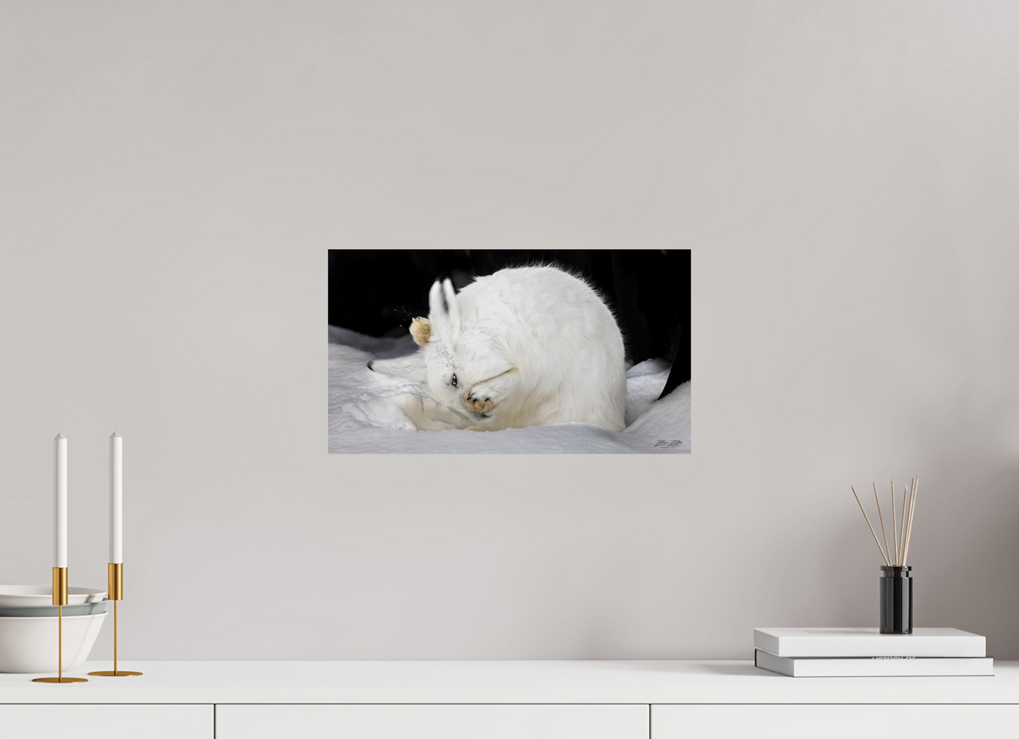 16 x 9″, Photo Print On Fuji Crystal DP II Zillas zoom image 142