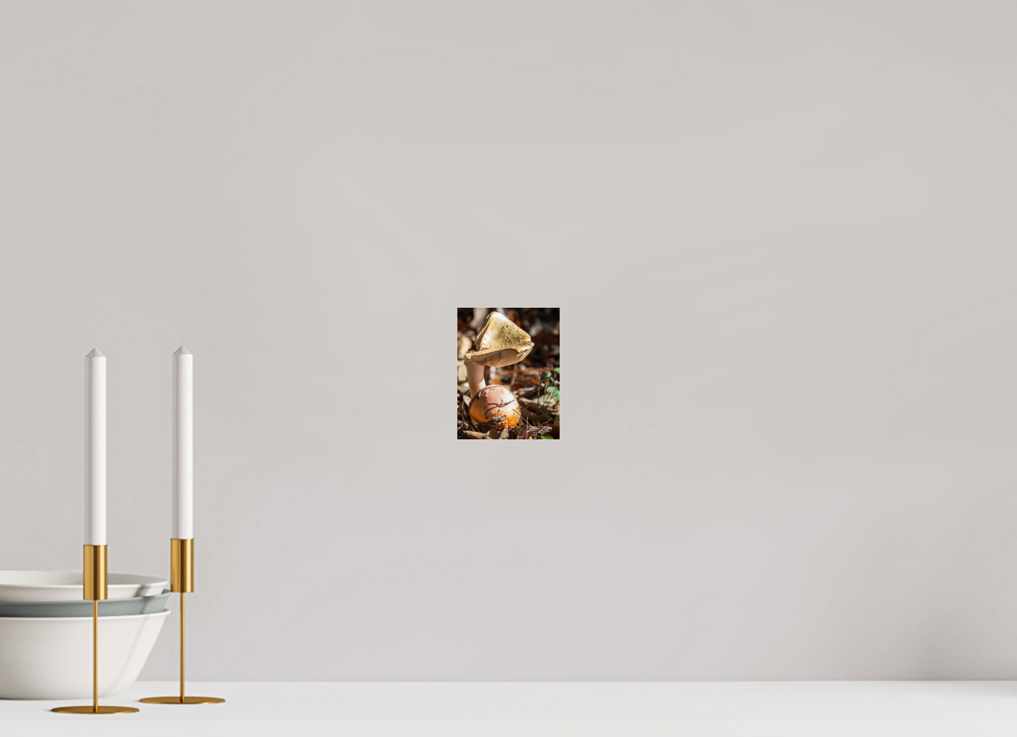 4 x 5.2″, Photo Print Under Acrylic Glass Zillas Zoom Image 116