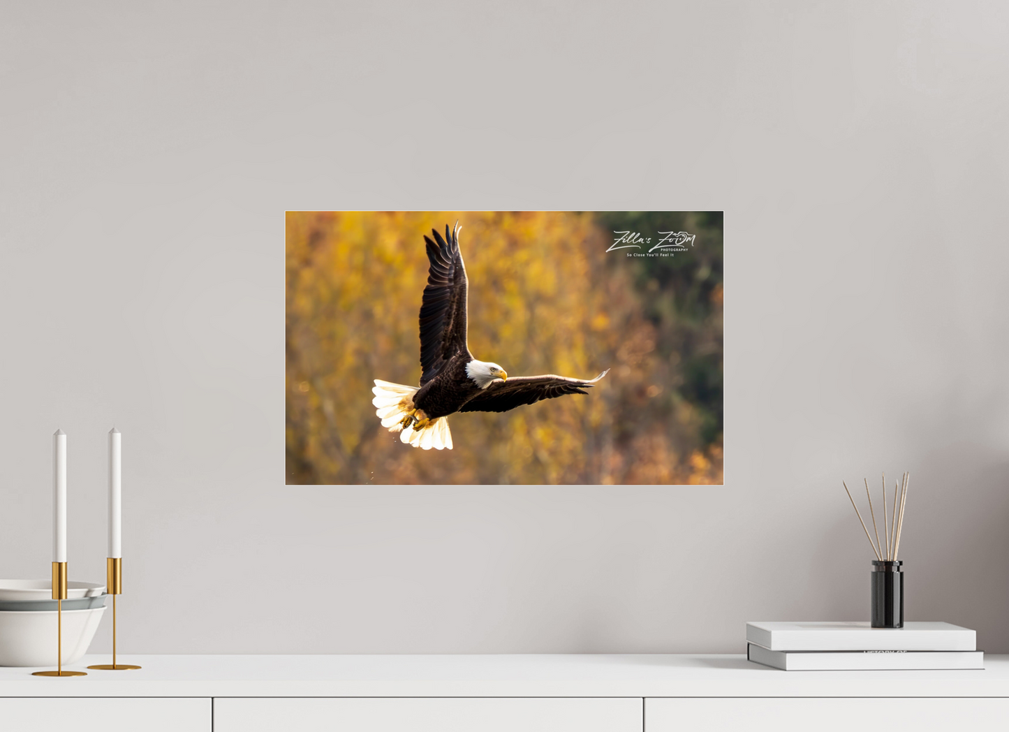 19.2 x 12″, Photo Print Under Acrylic Glass Zillas Zoom Image 272