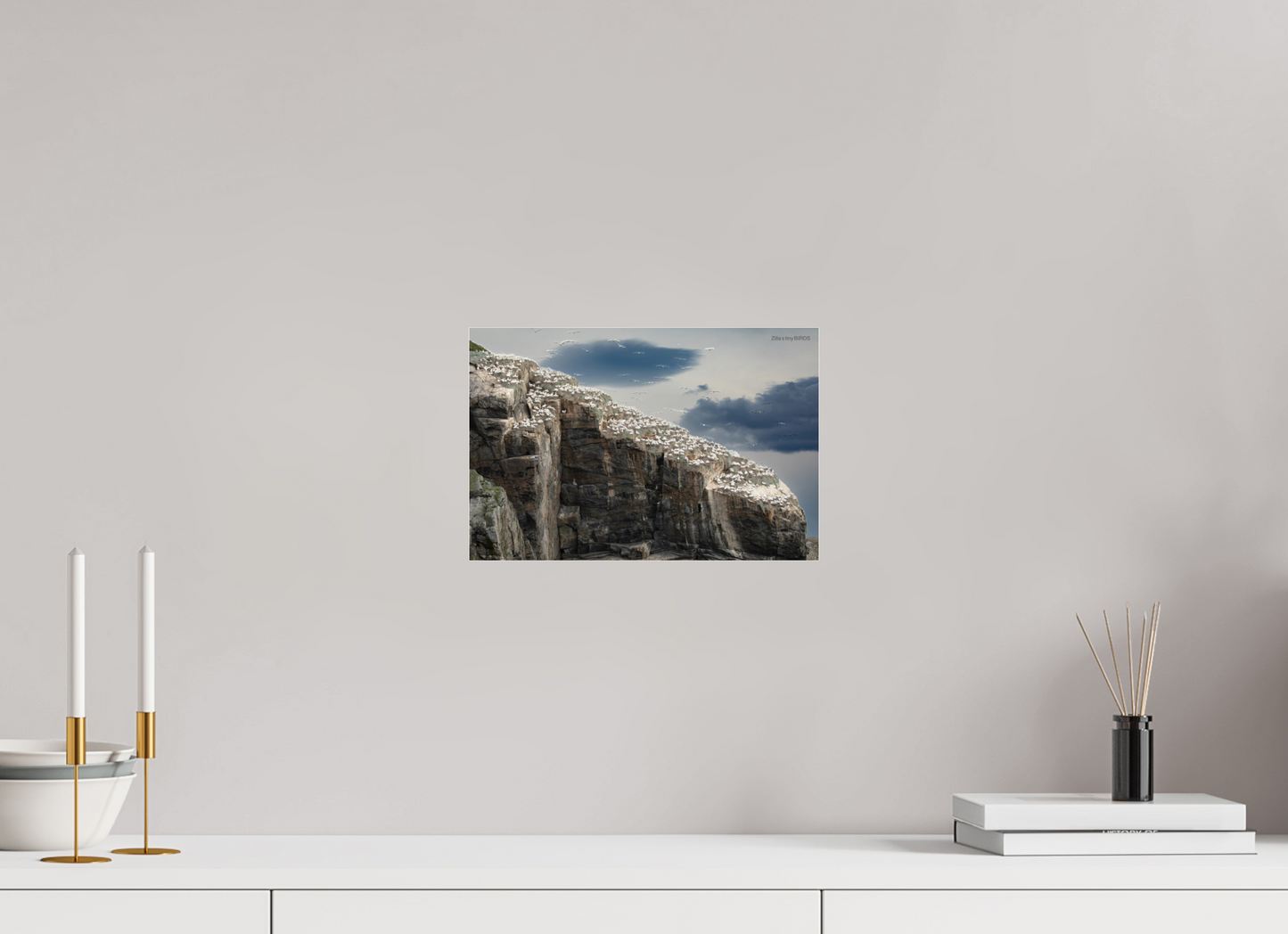 12 x 8″, Photo Print Under Acrylic Glass Zillas Zoom Image 219