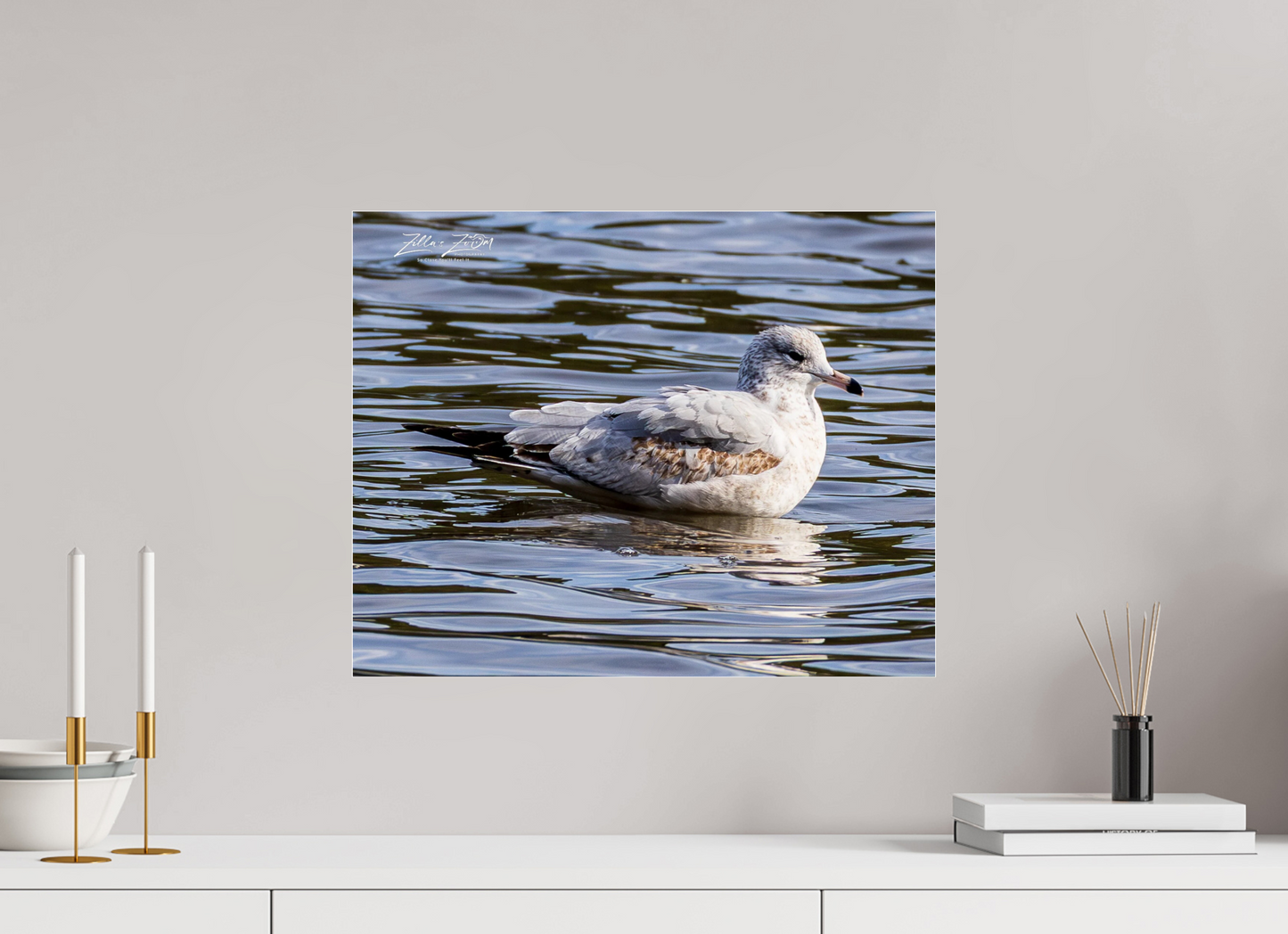 20 x 16″, Photo Print Under Acrylic Glass Zillas Zoom Image 271