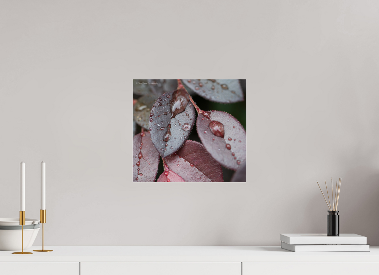 13.3 x 12″, Photo Print Under Acrylic Glass Zillas Zoom Image 99