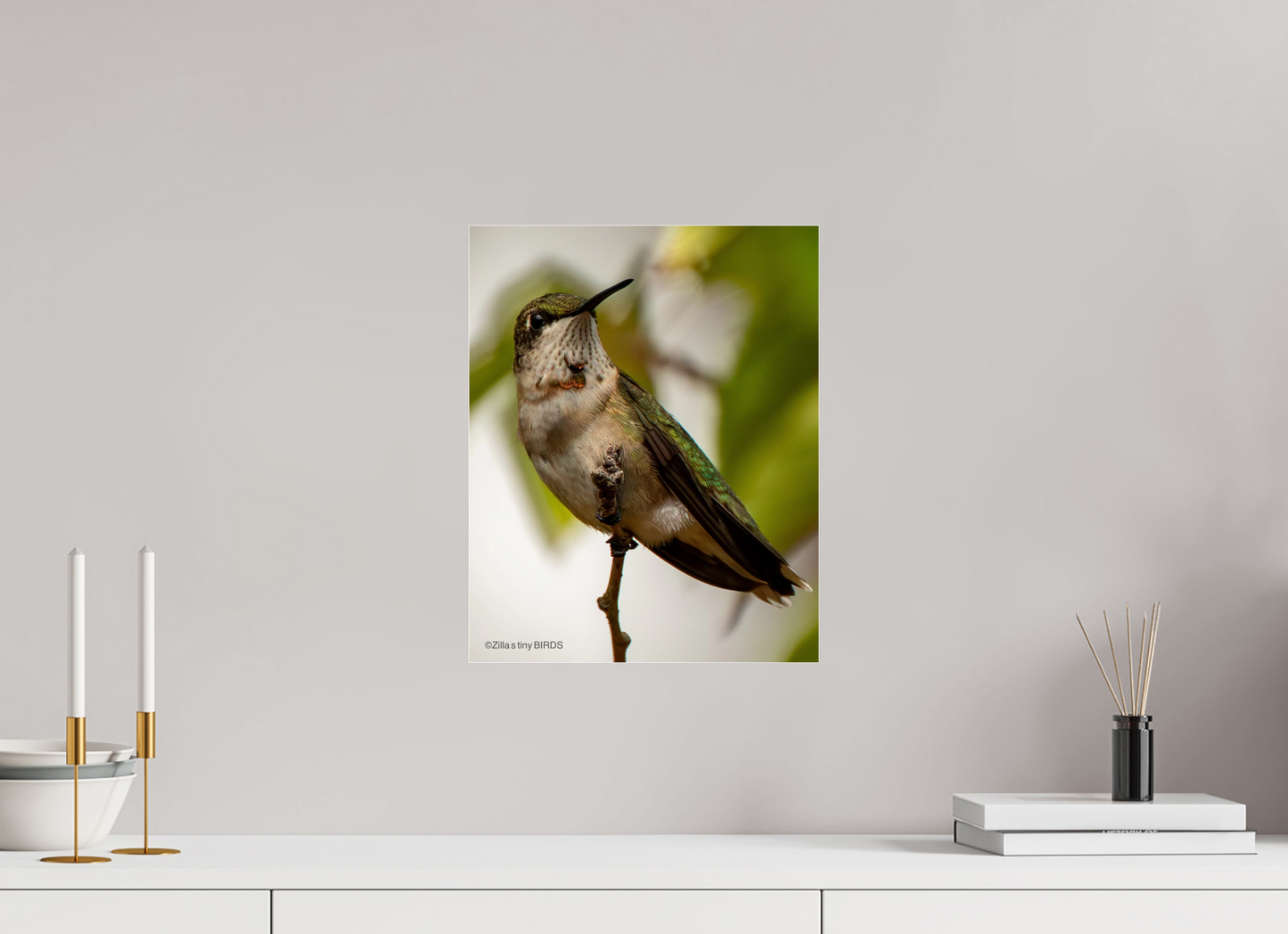 12 x 15″, Photo Print Under Acrylic Glass Zillas Zoom Image 468