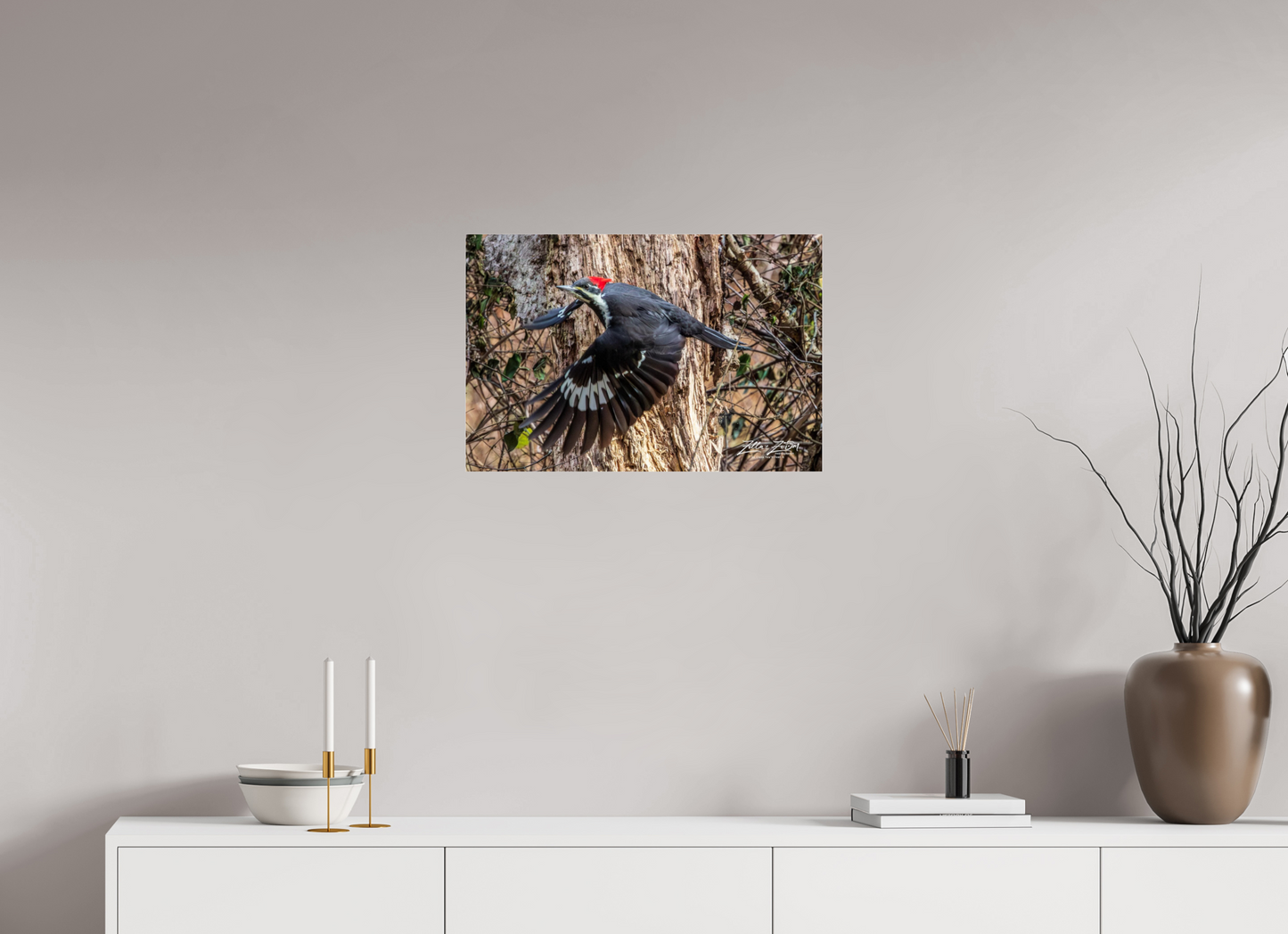 24 x 16″, Photo Print Under Acrylic Glass Zillas Zoom Image 285