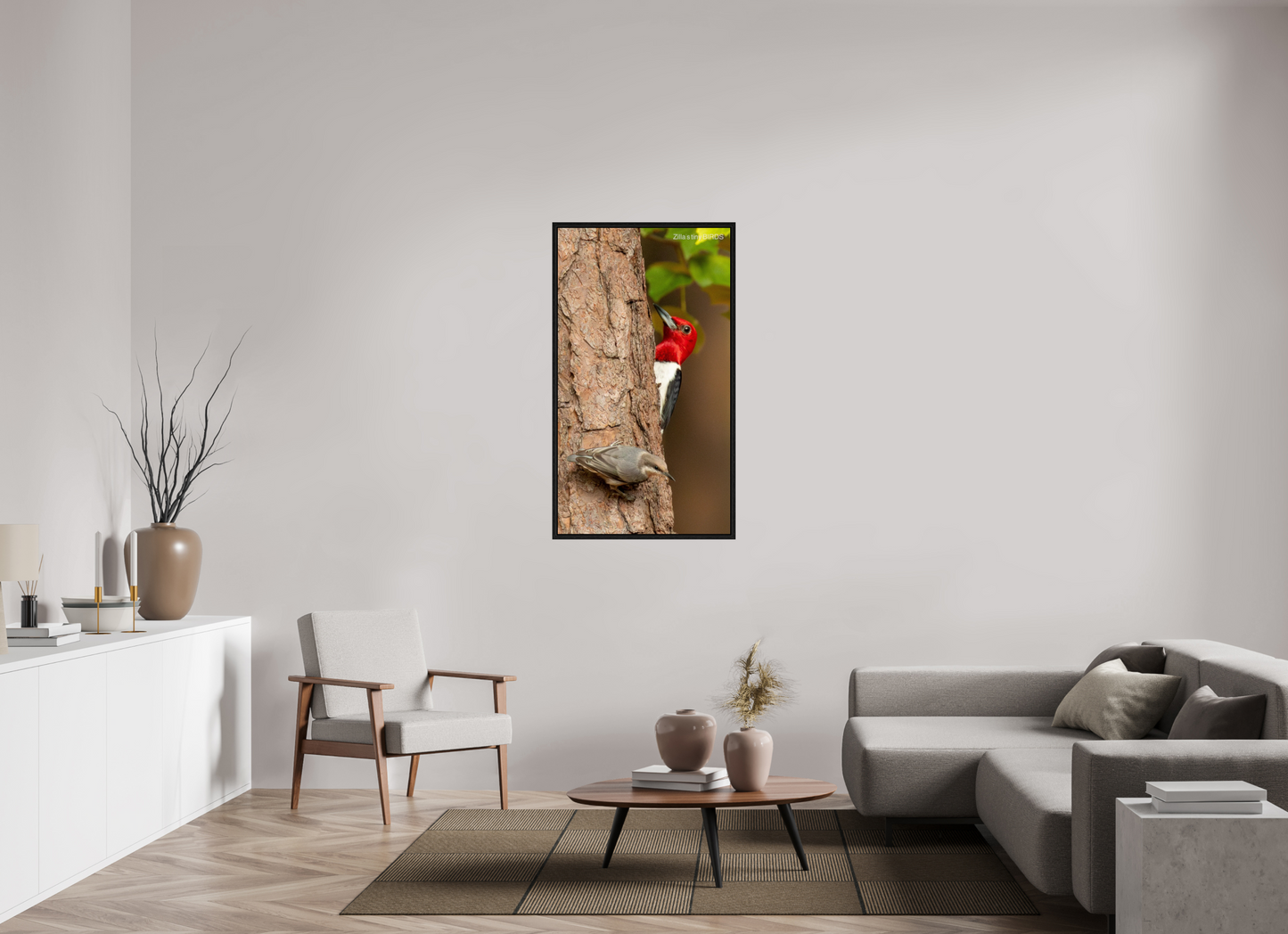 27.6 x 49″, Floater Frame Zillas Zoom Image 490