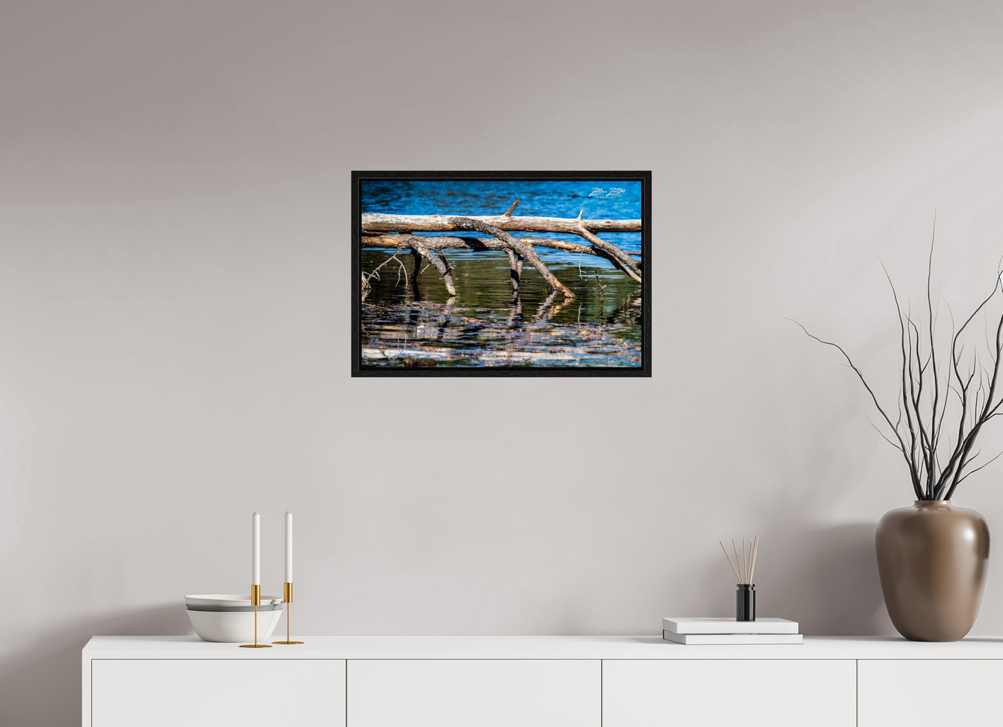24 x 16″, Floater Frame Zillas Zoom Image 214
