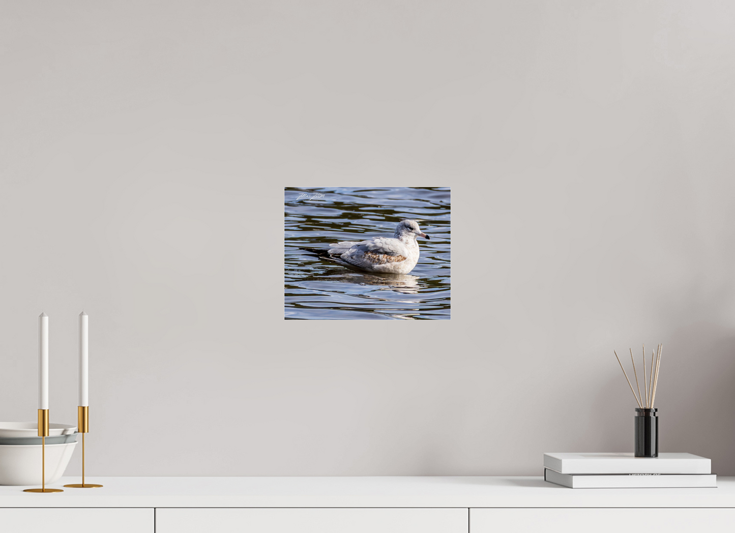 10 x 8″, Photo Print Under Acrylic Glass Zillas Zoom Image 271