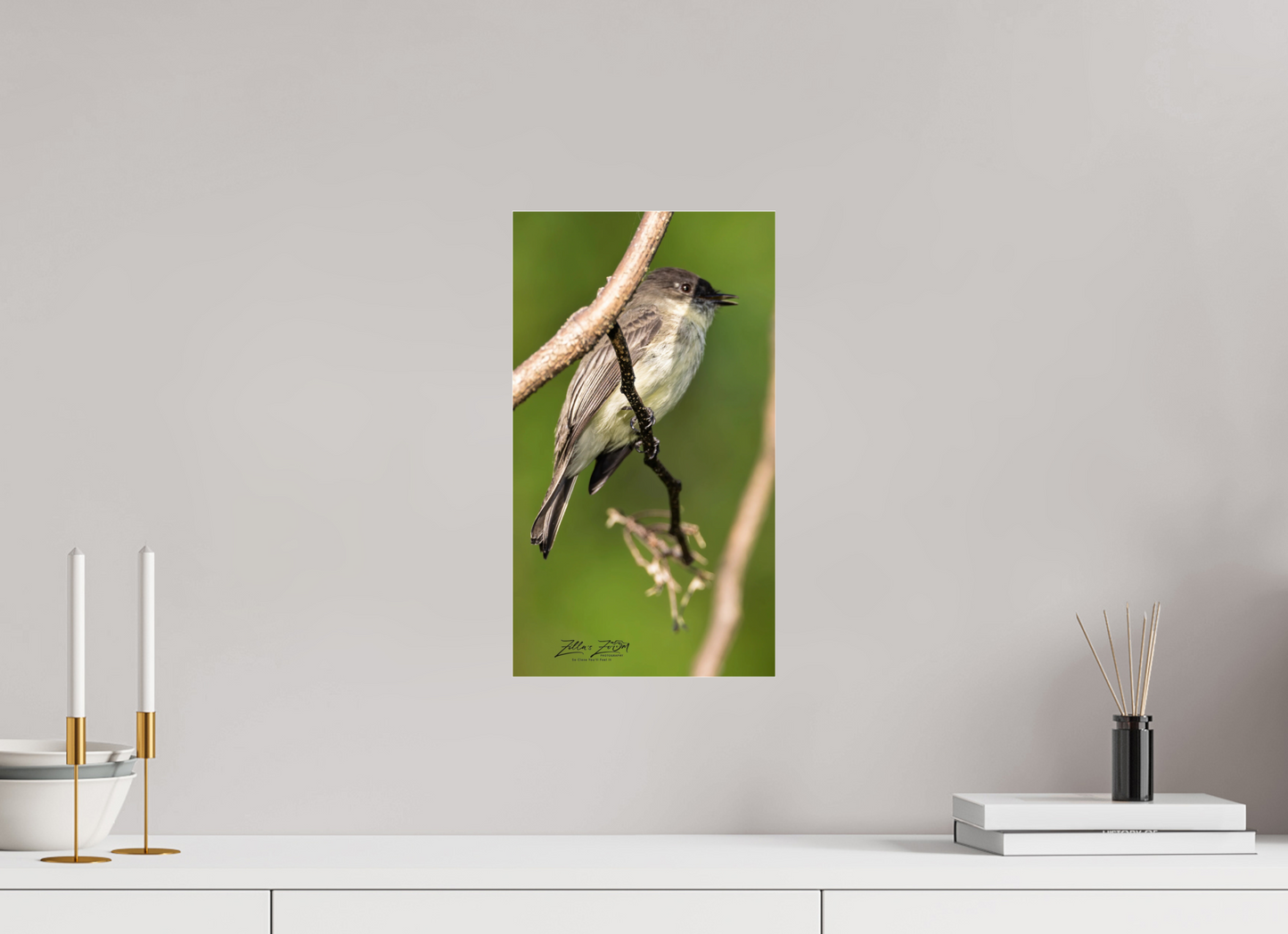 9 x 16″, Photo Print Under Acrylic Glass Zillas Zoom Image 423