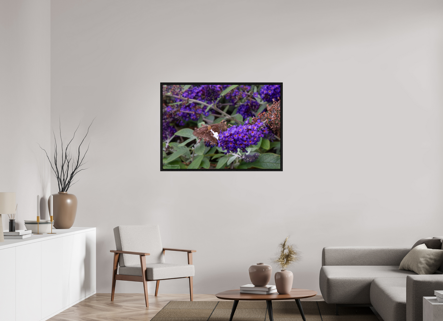 43.4 x 31″, Floater Frame Zillas Zoom Image 60
