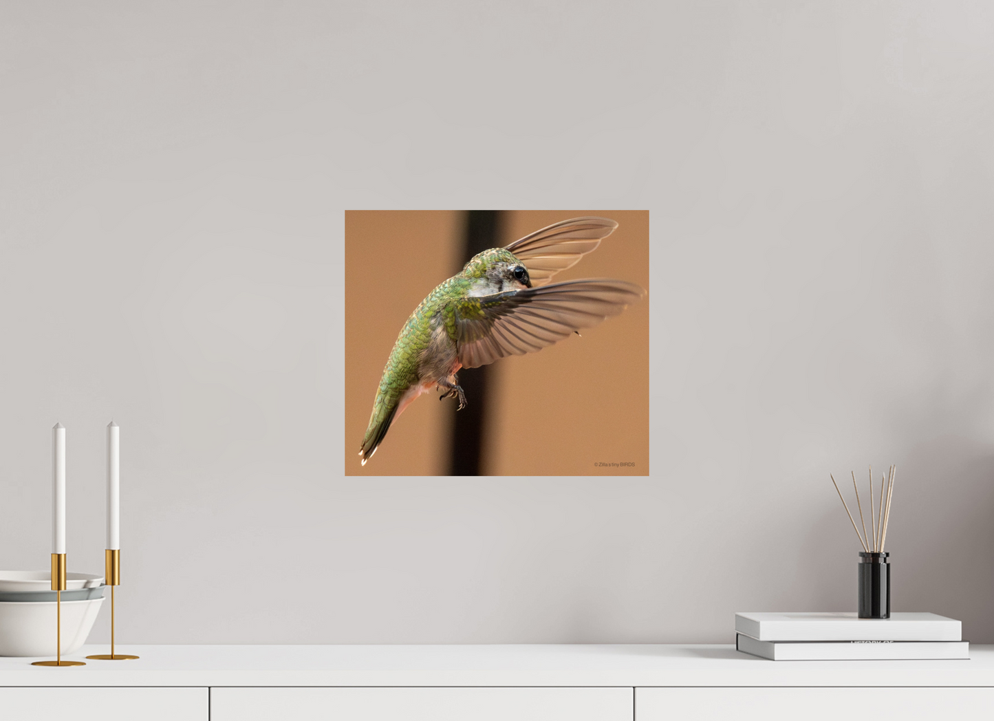 13.7 x 12″, Photo Print On Fuji Crystal DP II Zillas Zoom Image 376