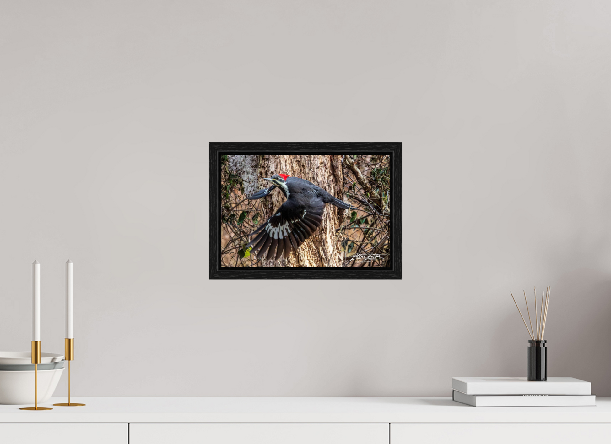 12 x 8″, Floater Frame Zillas Zoom Image 285