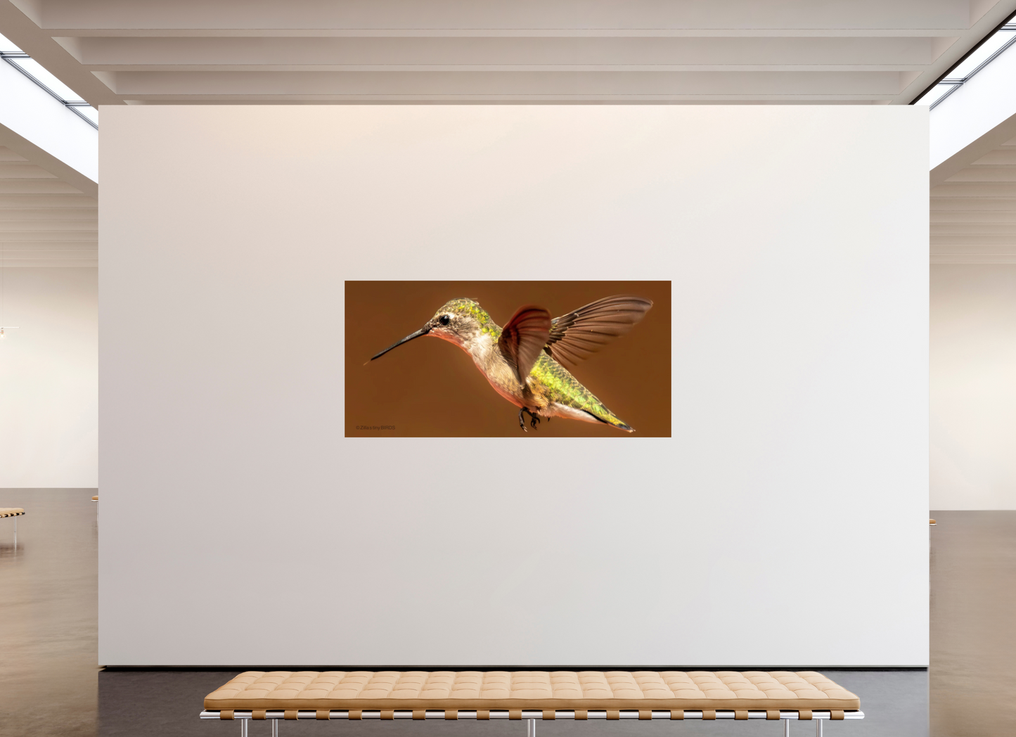 81.4 x 39″, Photo Print On Fuji Crystal DP II Zillas Zoom Image 327