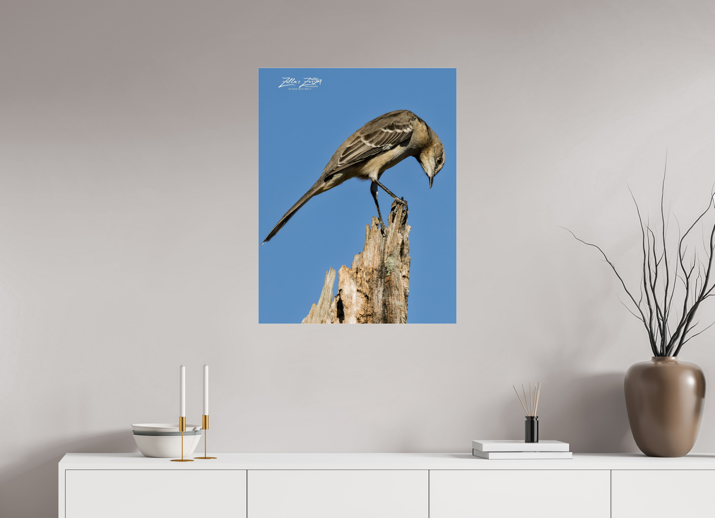 24 x 31.1″, Photo Print Under Acrylic Glass Zillas Zoom Image 410