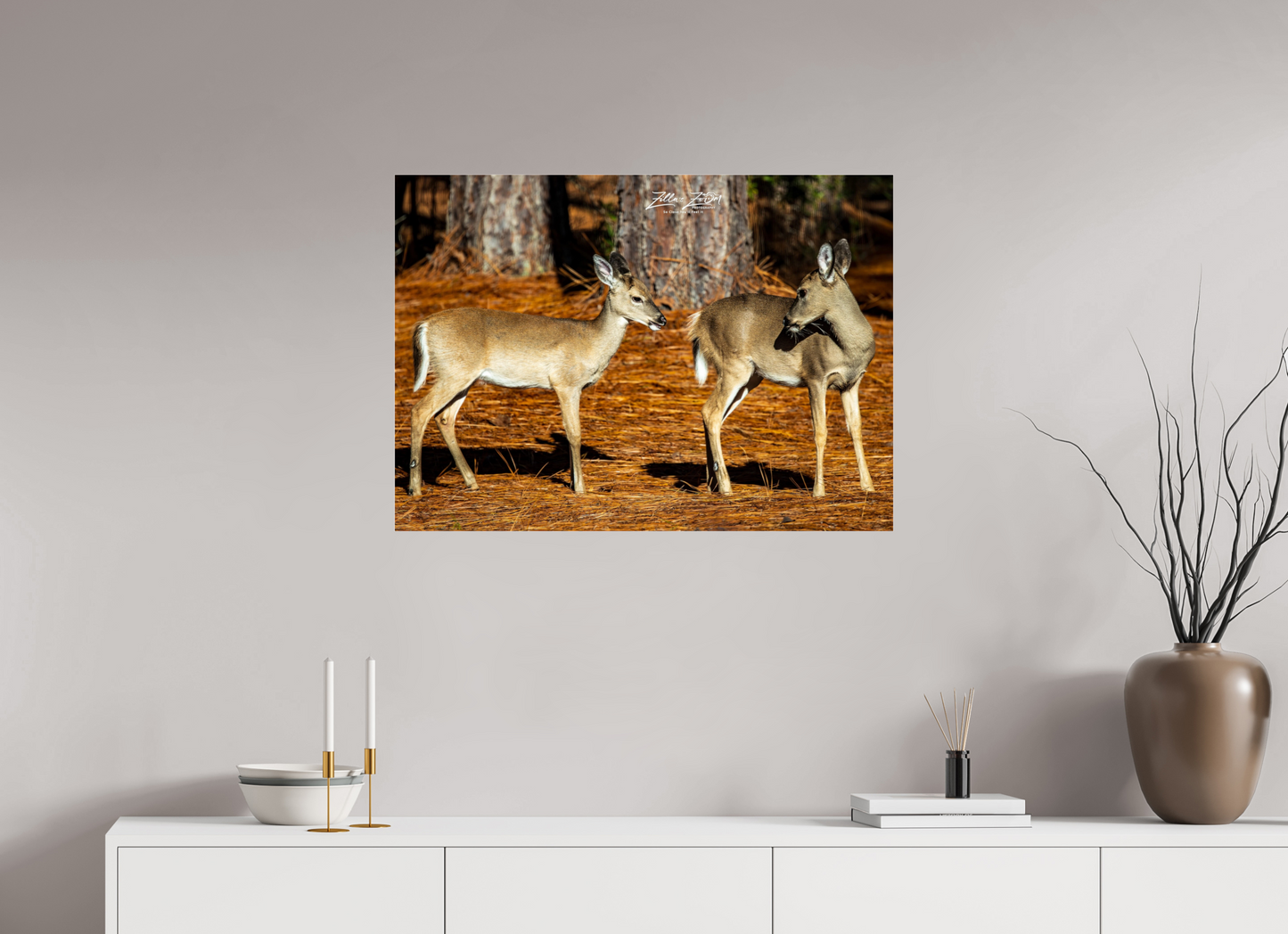 33.6 x 24″, Photo Print Under Acrylic Glass Zillas zoom image 143