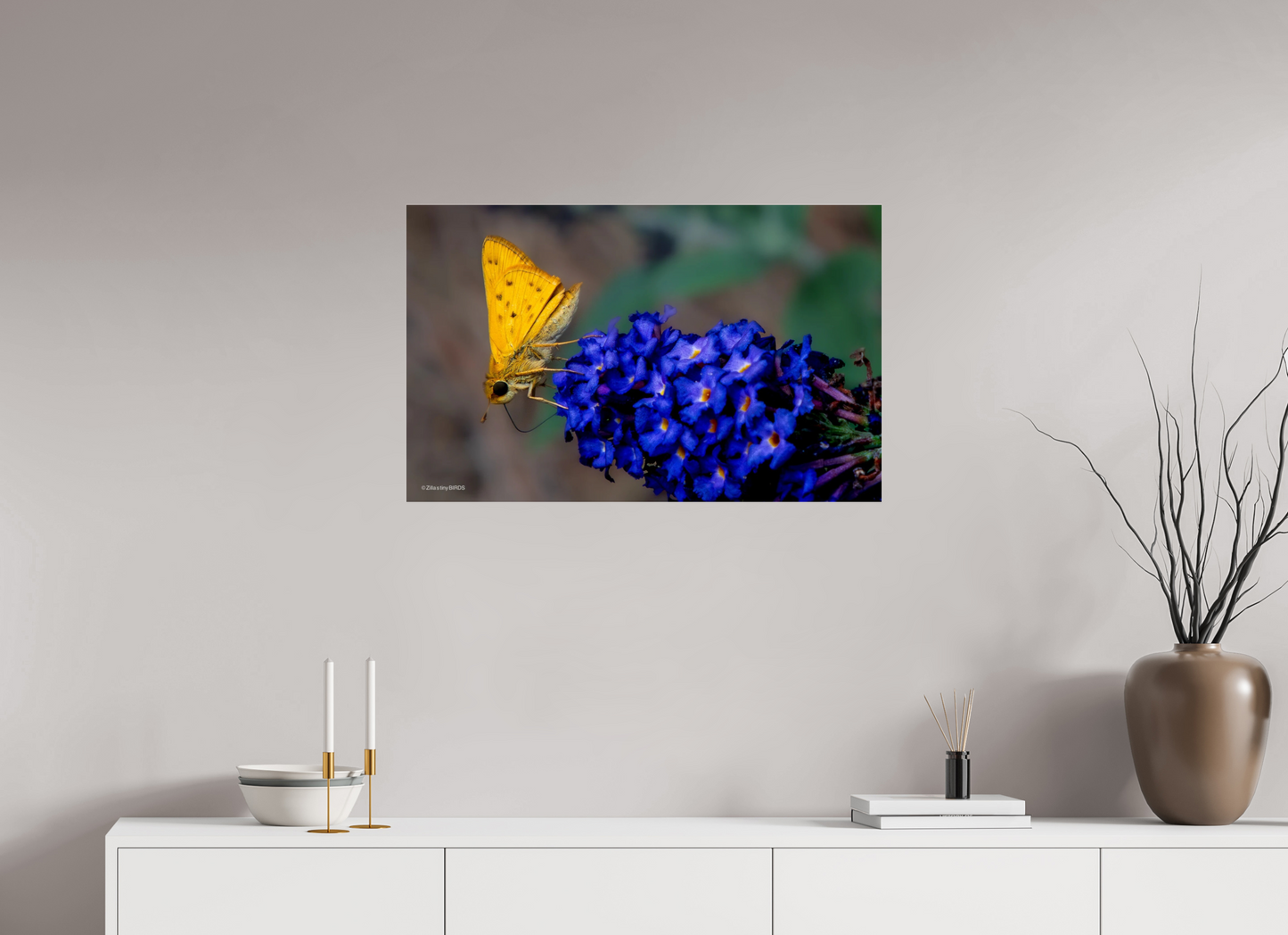 32 x 20″, Photo Print Under Acrylic Glass Zillas Zoom Image 61