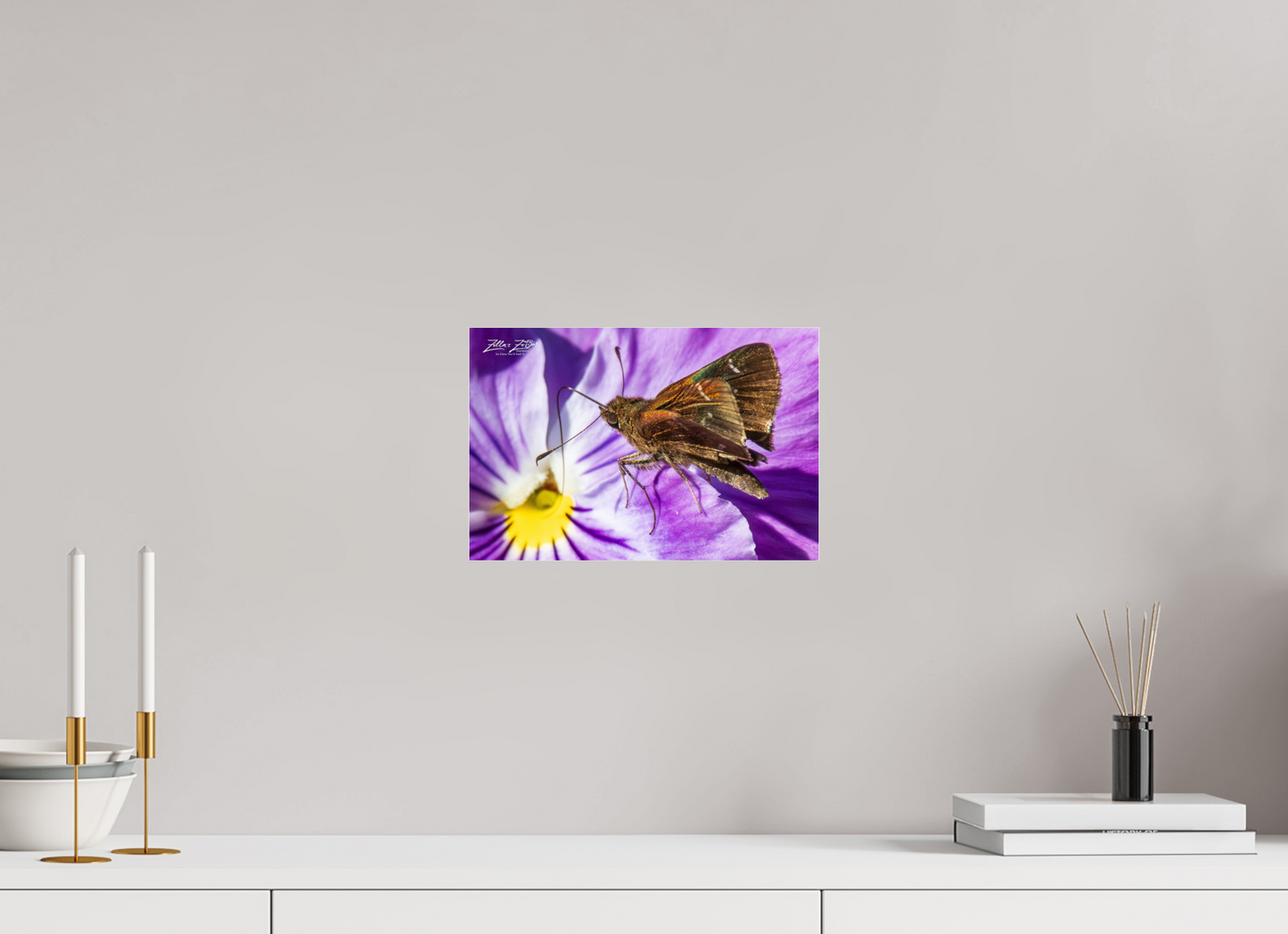 12 x 8″, Photo Print Under Acrylic Glass Zillas Zoom Image 59
