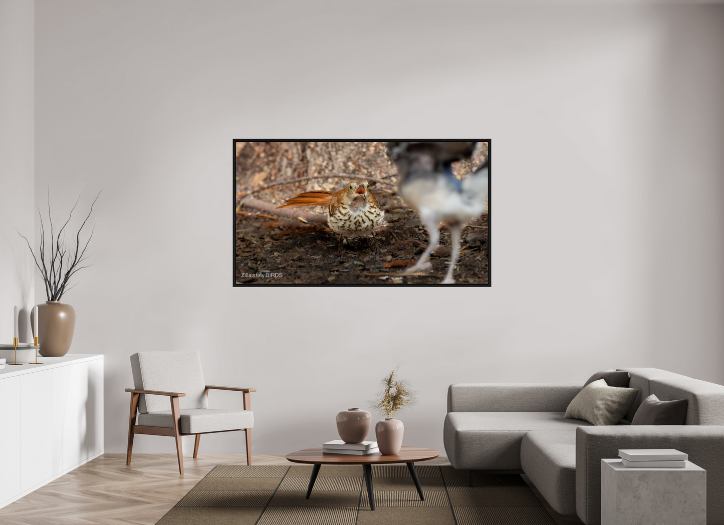 70 x 39.4″, Floater Frame Zillas Zoom Image 383