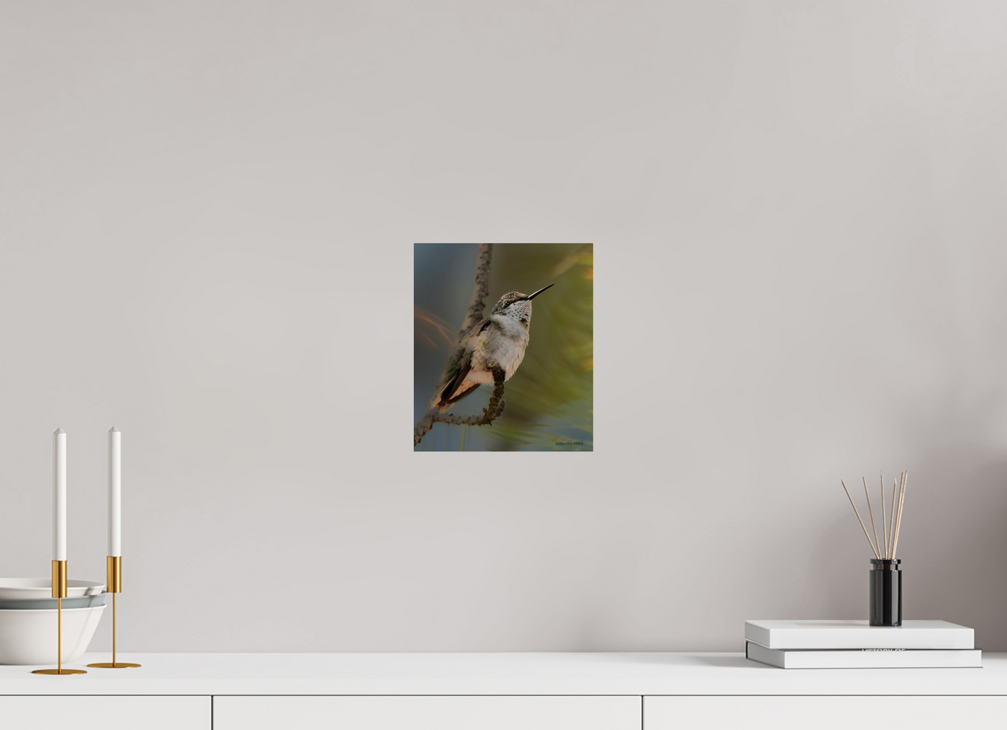 8 x 9.3″, Photo Print On Fuji Crystal DP II Zillas Zoom Image 499