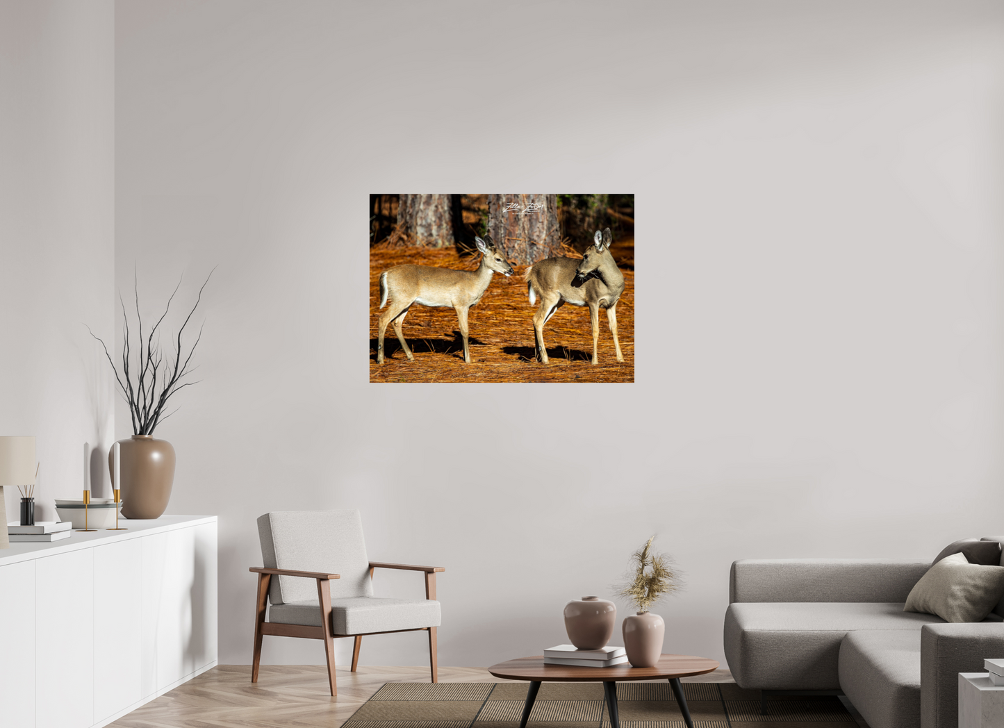 43.4 x 31″, Photo Print On Fuji Crystal DP II Zillas zoom image 143