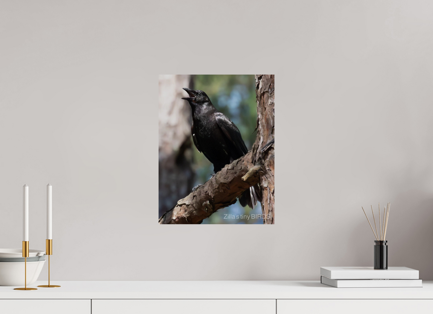 12 x 15.5″, Photo Print On Fuji Crystal DP II Zillas Zoom Image 498