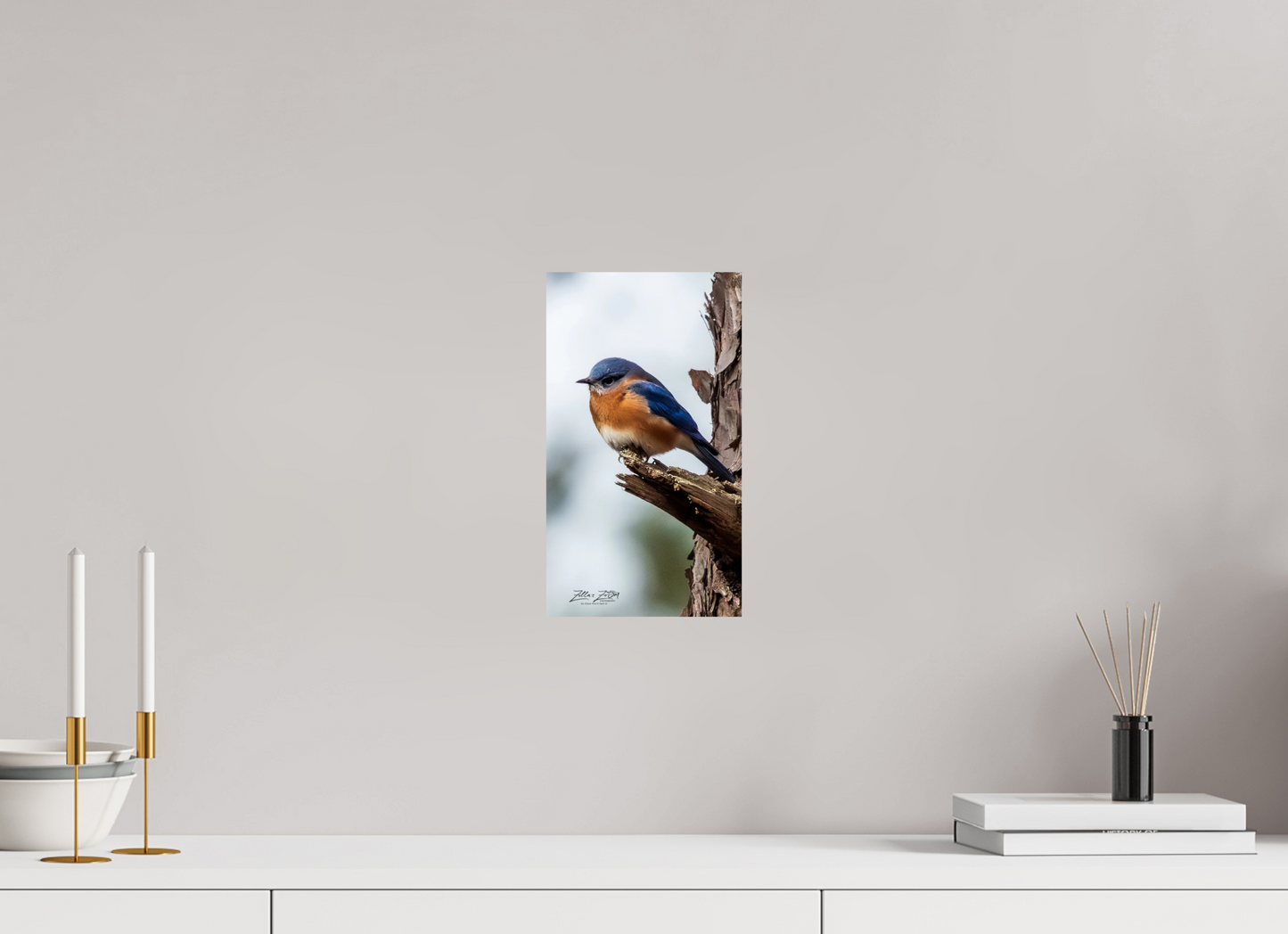 6.8 x 12″, Photo Print On Fuji Crystal DP II Zillas Zoom Image 458