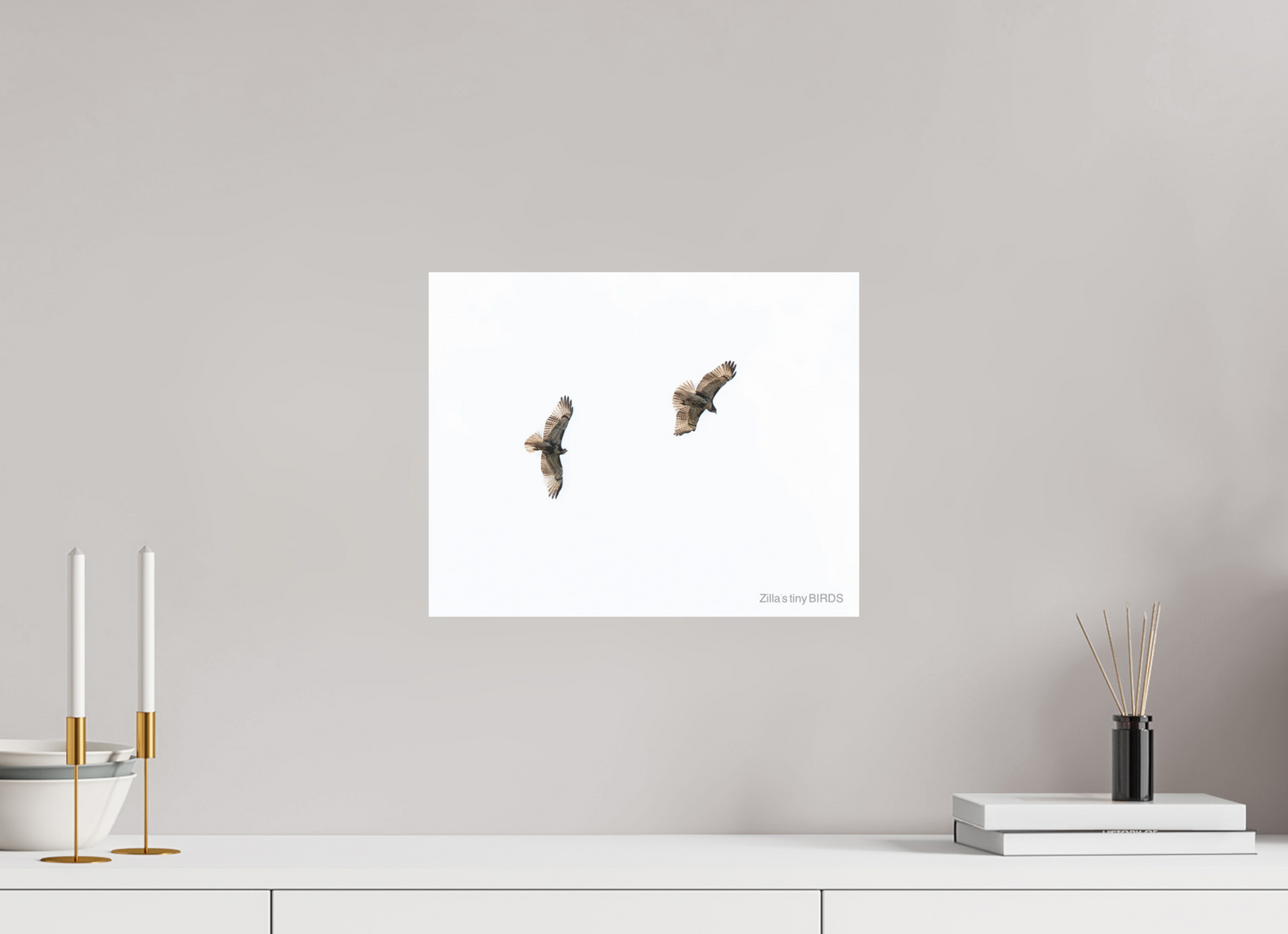15 x 12″, Photo Print On Fuji Crystal DP II Zillas Zoom Image 371