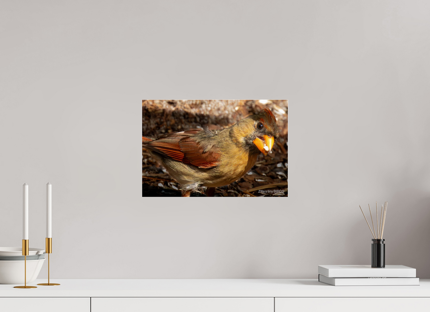 15 x 10″, Photo Print Under Acrylic Glass Zillas Zoom Image 392
