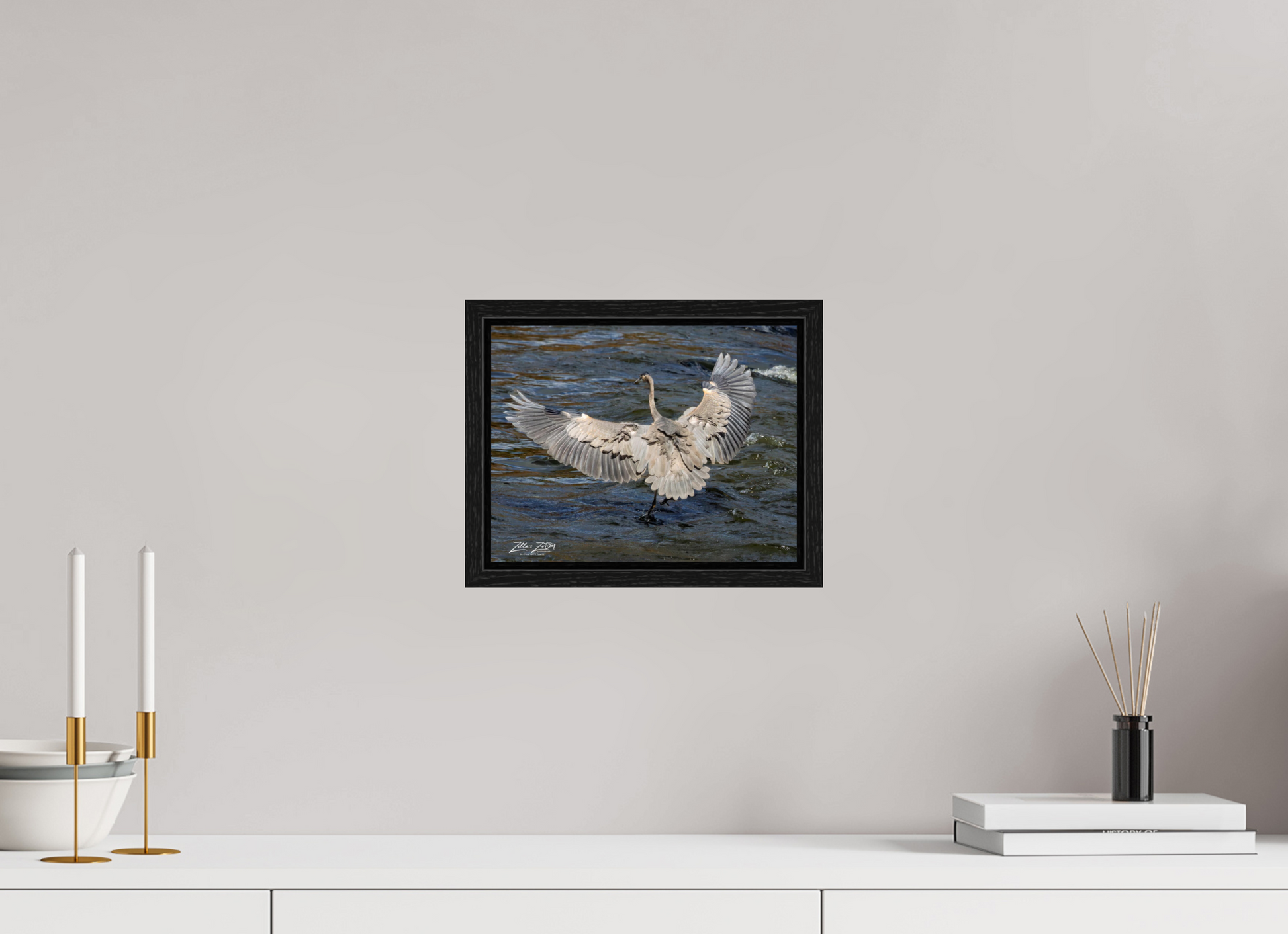 10.4 x 8″, Floater Frame Zillas Zoom Image 287