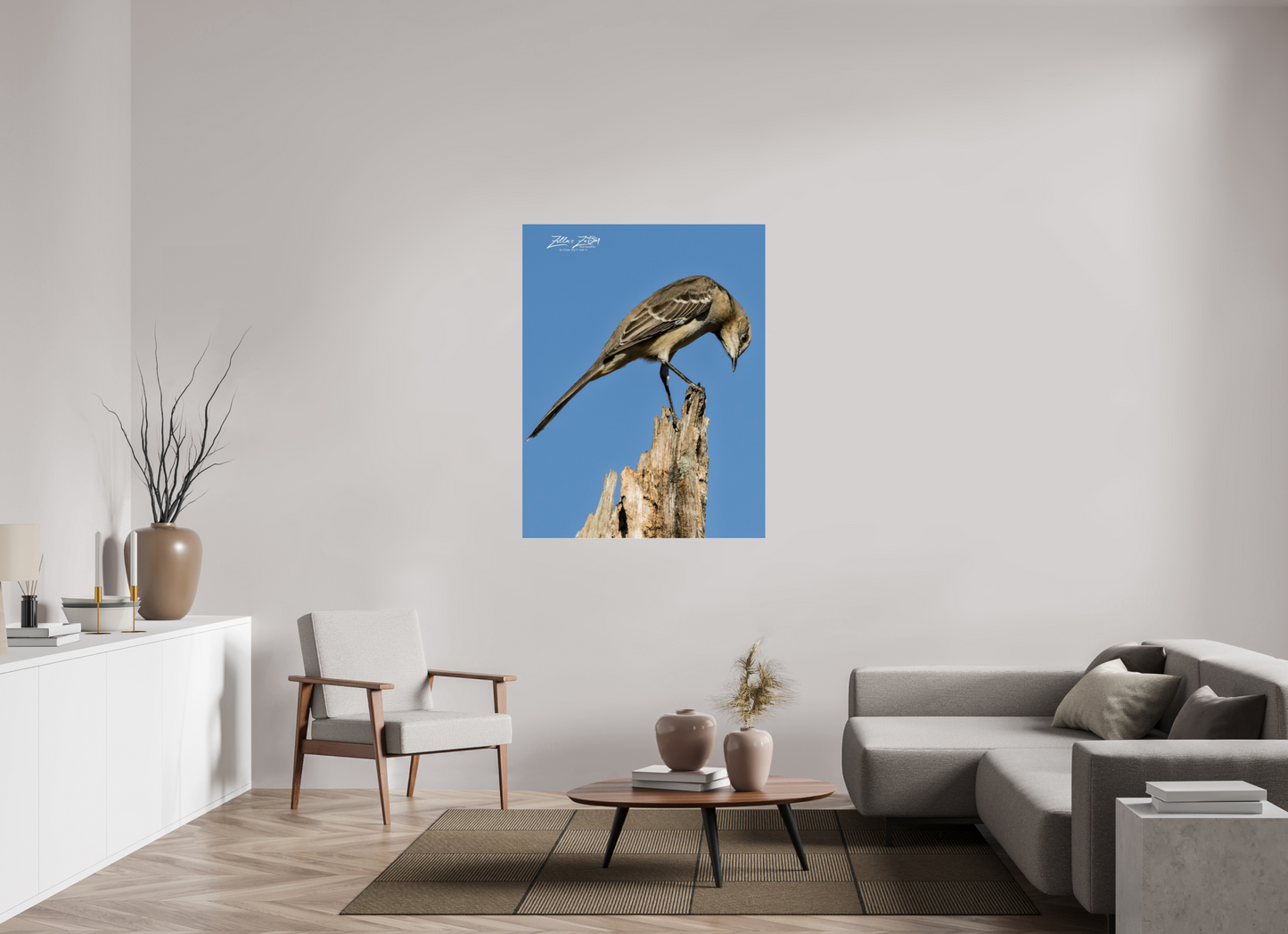 39 x 50.5″, Photo Print Under Acrylic Glass Zillas Zoom Image 410