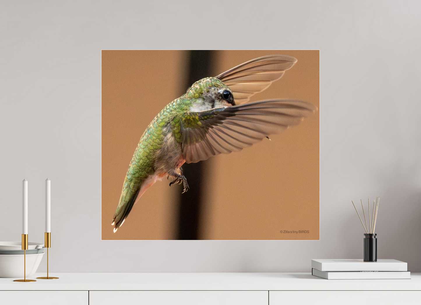 22.9 x 20″, Photo Print Under Acrylic Glass Zillas Zoom Image 376