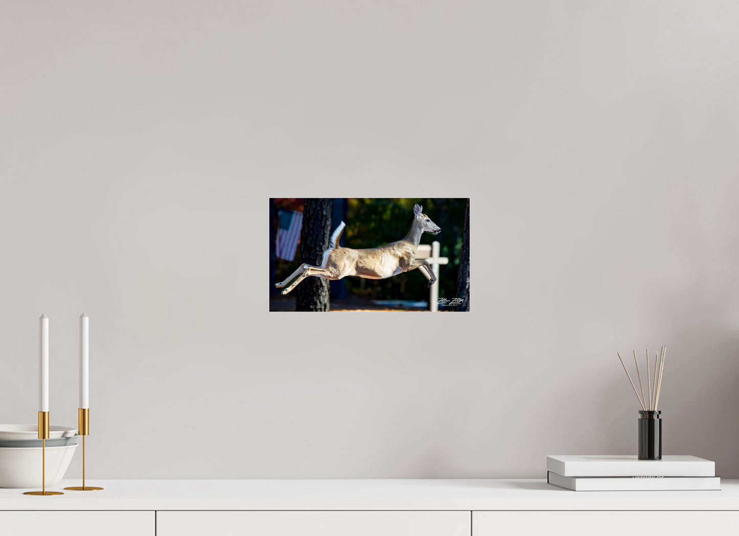 12 x 6.8″, Photo Print Under Acrylic Glass Zillas zoom image 141