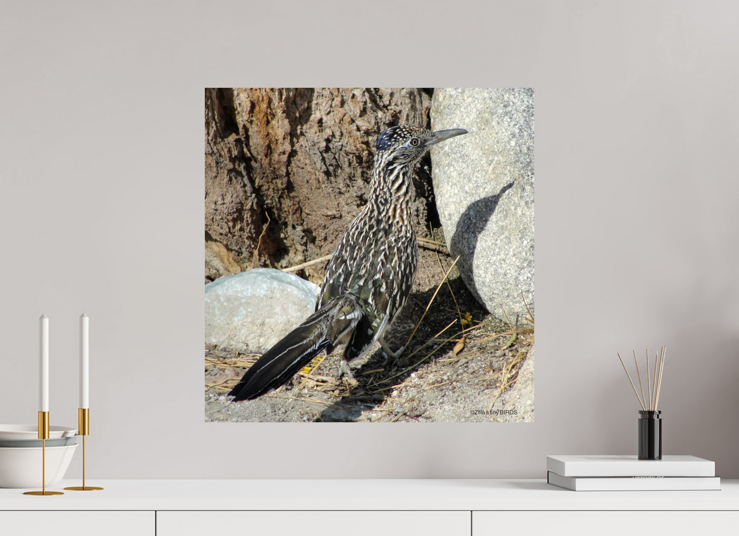 20 x 20.3″, Photo Print On Fuji Crystal DP II Zillas Zoom Image 362